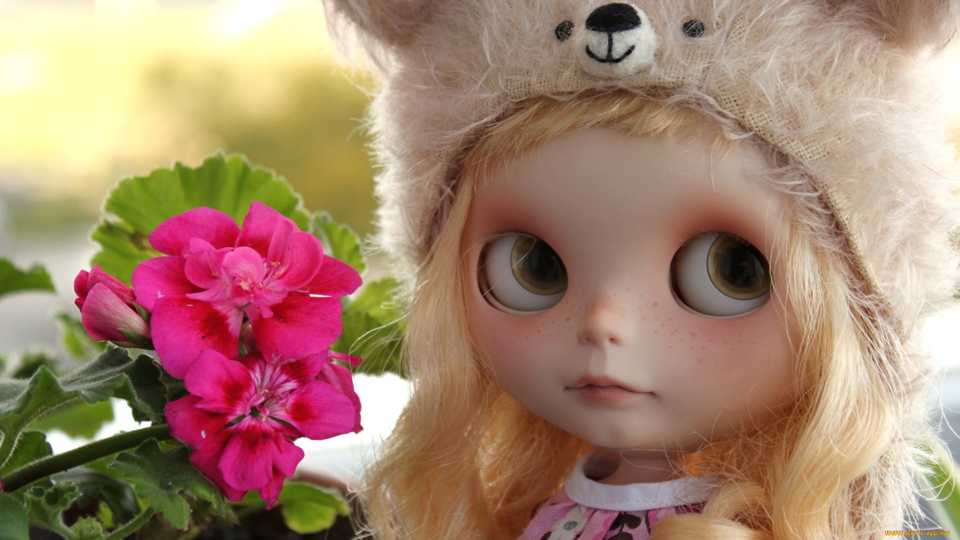 разное, игрушки, шапочка, герань, кукла