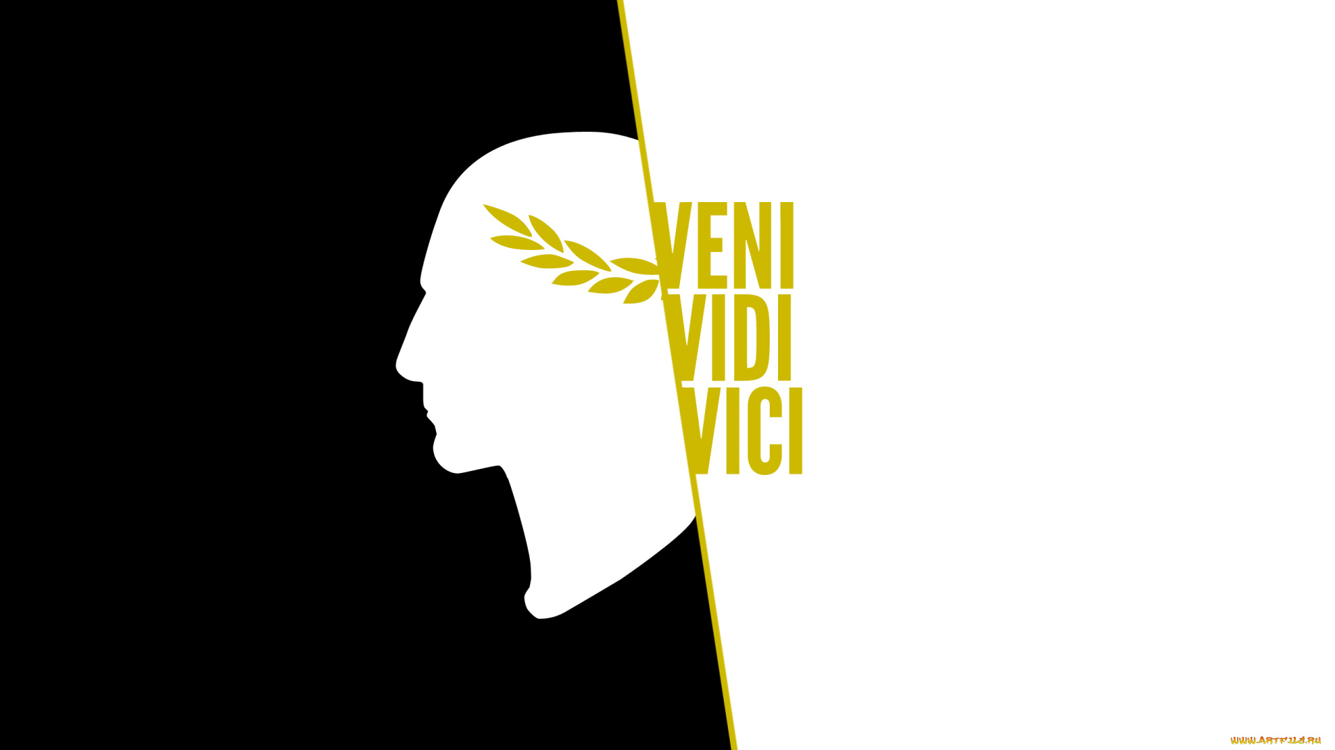 разное, надписи, логотипы, знаки, veni, vidi, vici