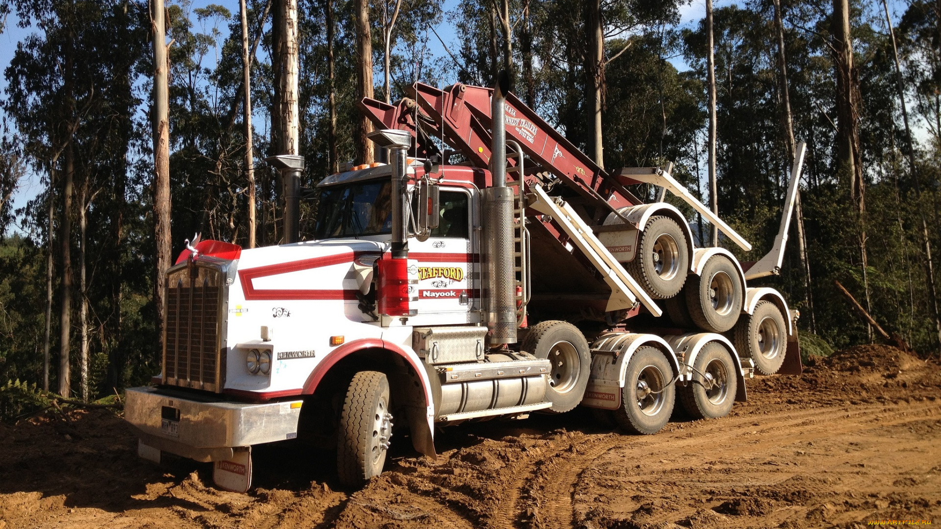 автомобили, kenworth, лесовоз, тягач, грузовик