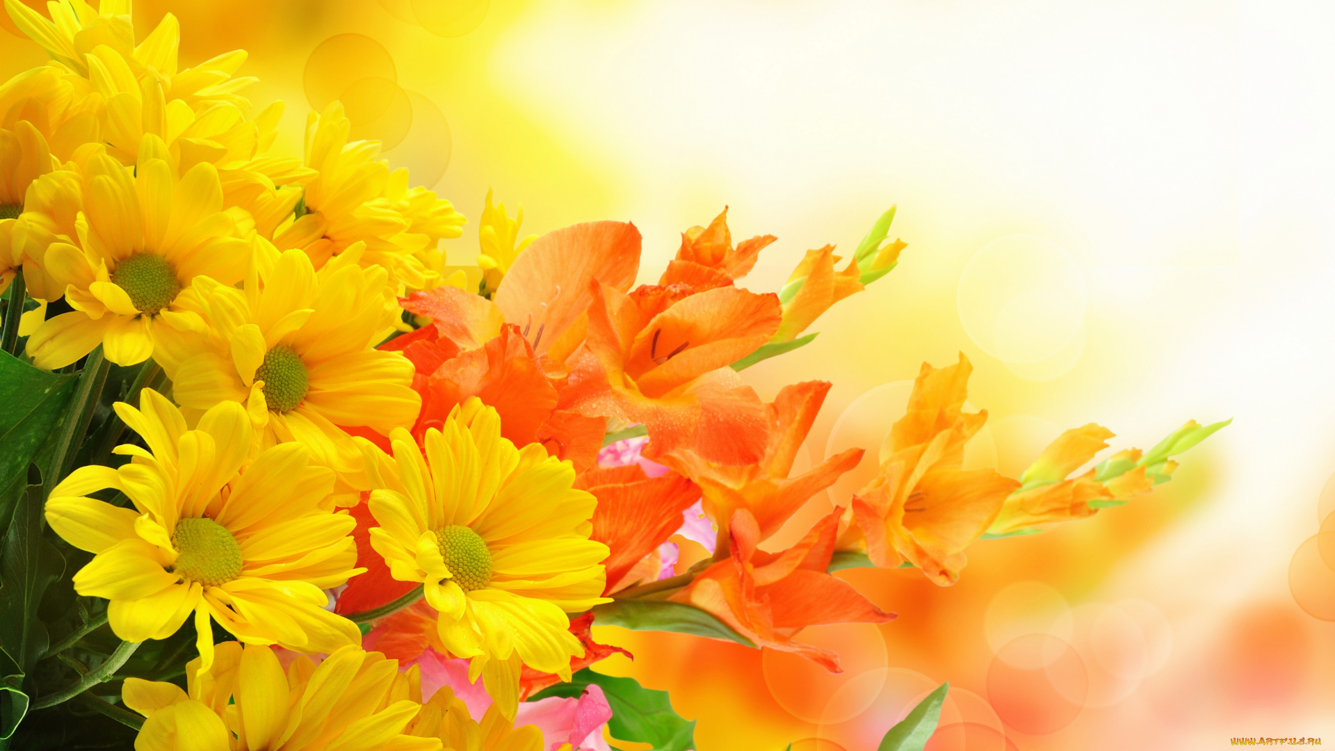 цветы, разные, вместе, гладиолусы, хризантемы, букет