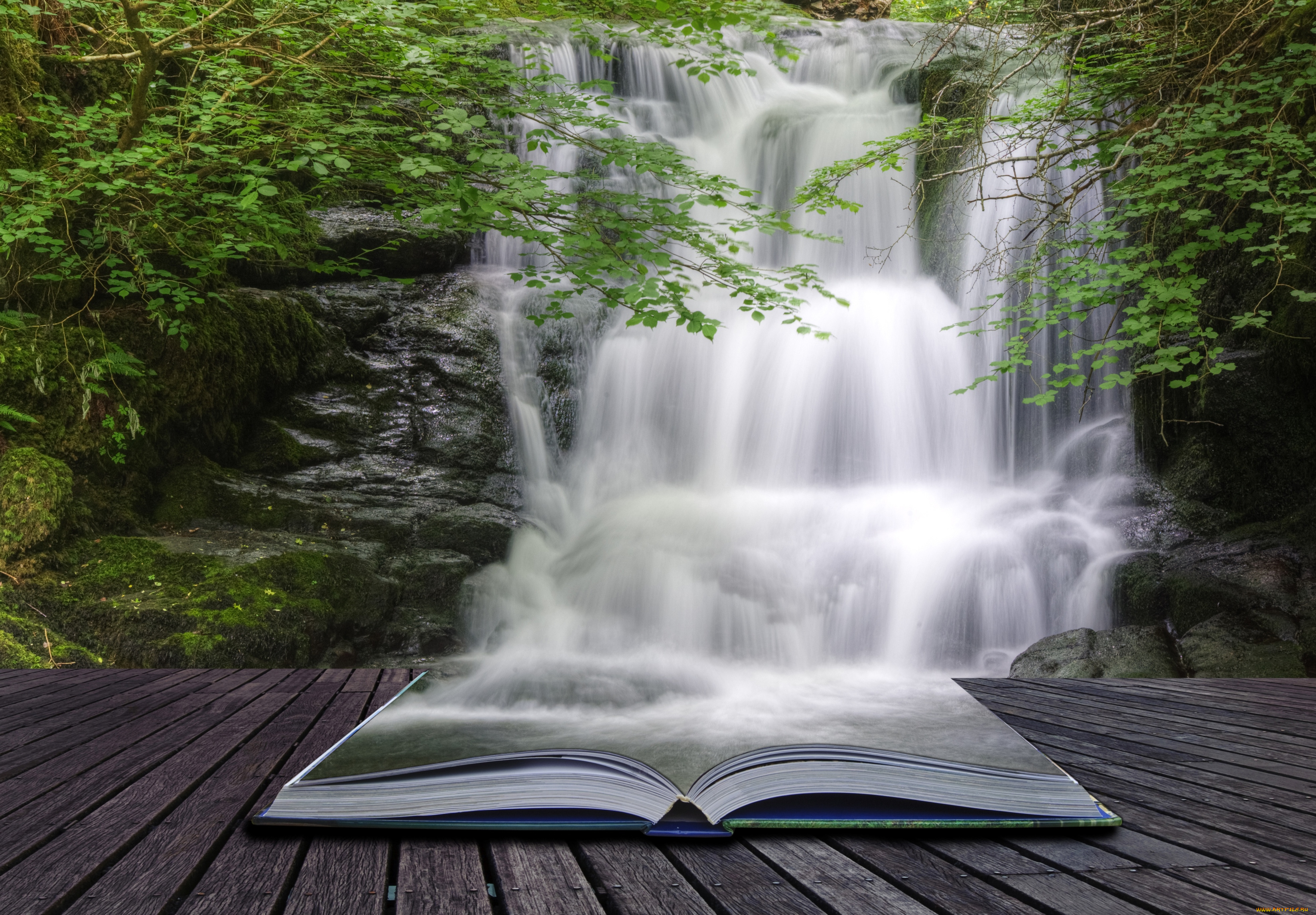 разное, компьютерный, дизайн, книга, водопад