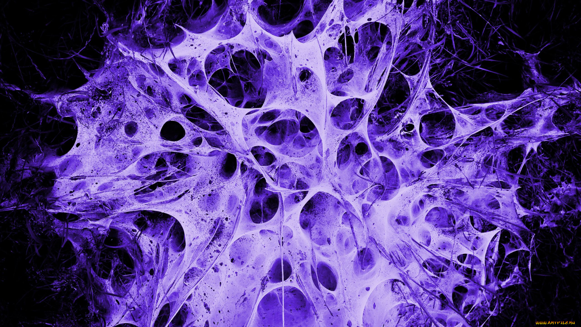 3д, графика, абстракция, , abstract, черный, фон, нити, паутина