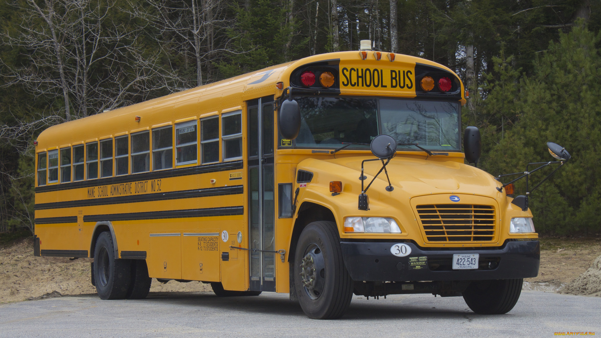автомобили, автобусы, автобус, школьный
