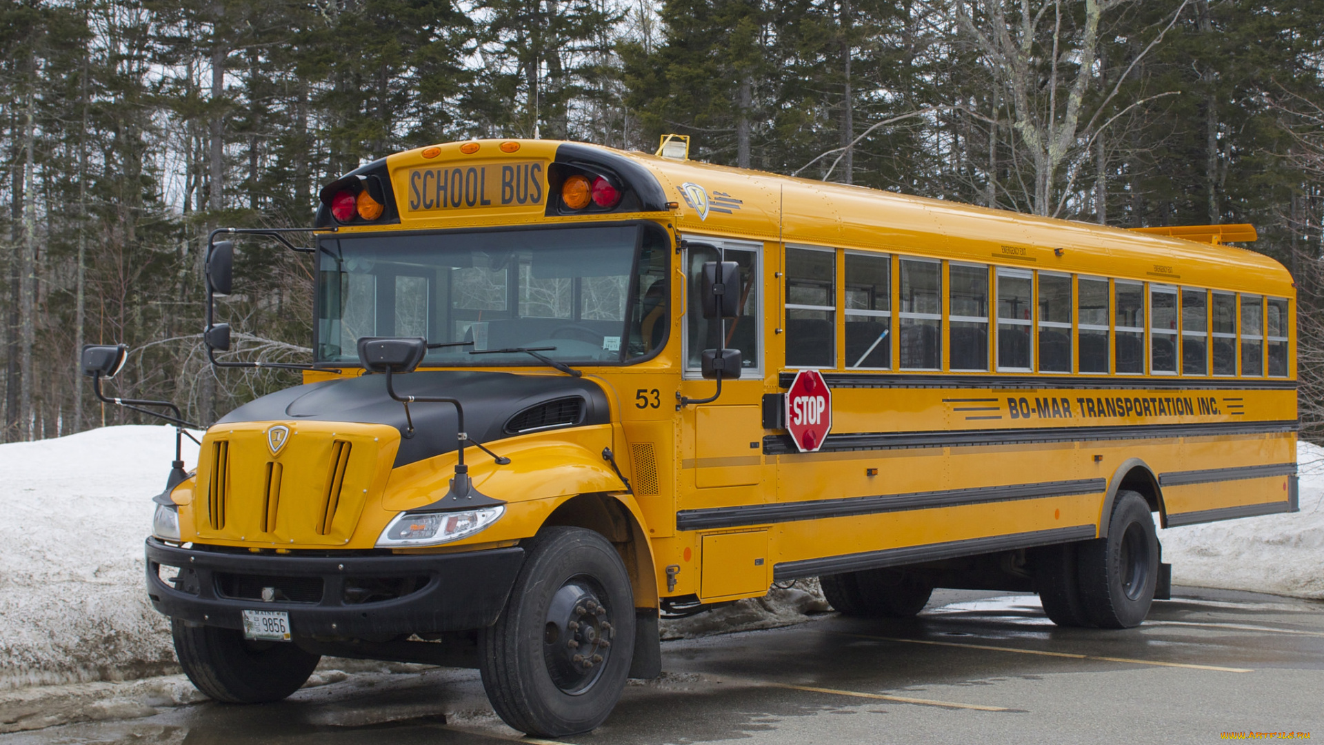 автомобили, автобусы, автобус, школьный