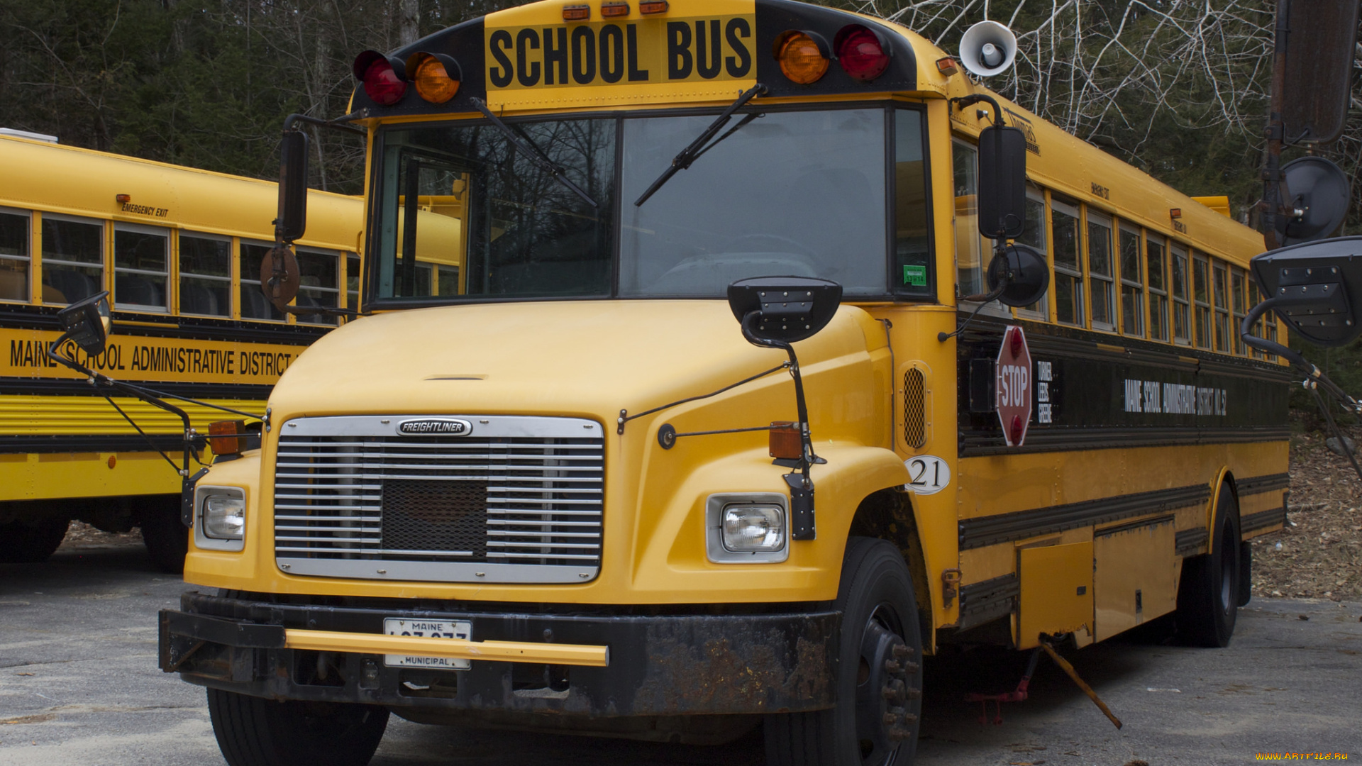 автомобили, автобусы, автобус, школьный