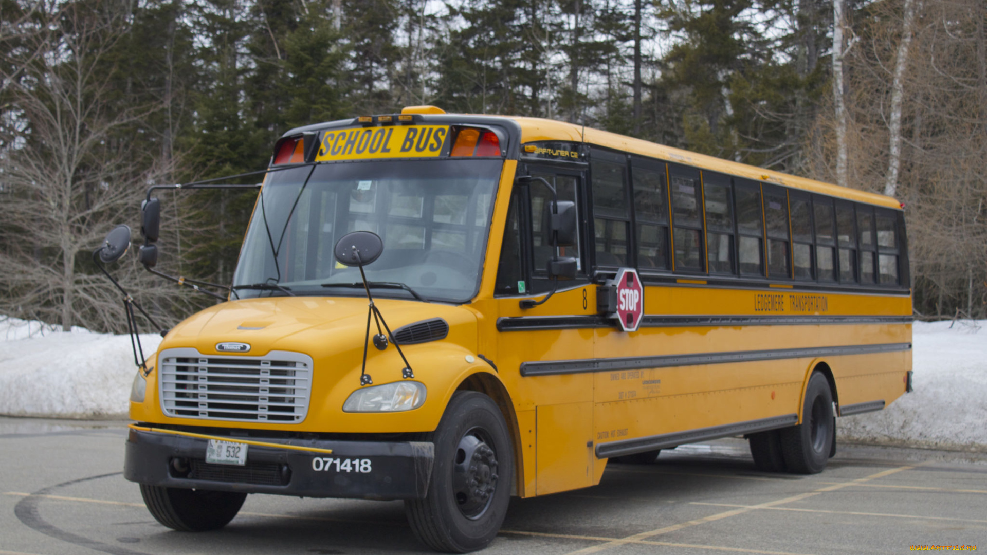 автомобили, автобусы, школьный, автобус