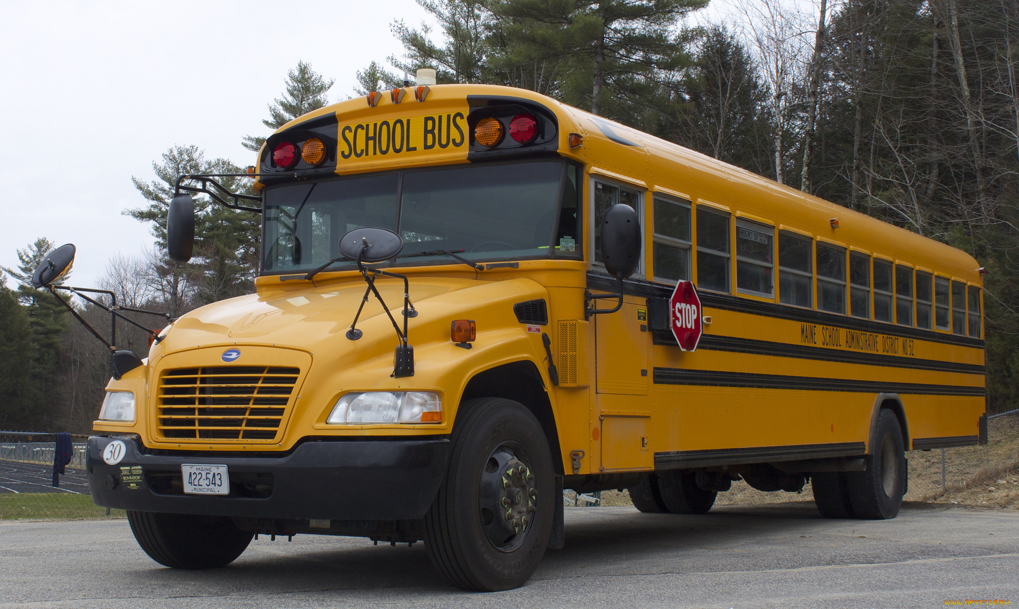 автомобили, автобусы, автобус, школьный