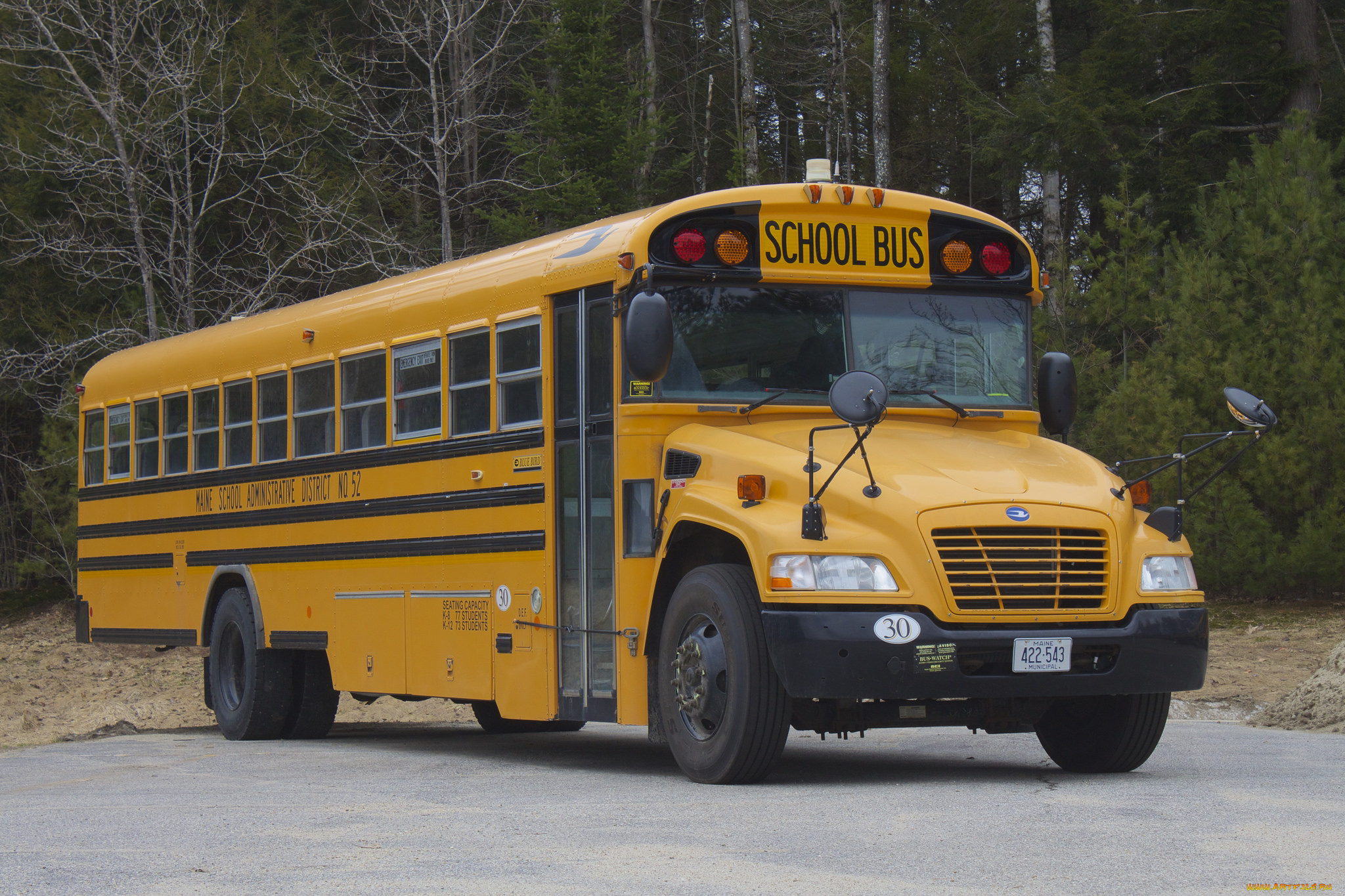 автомобили, автобусы, автобус, школьный