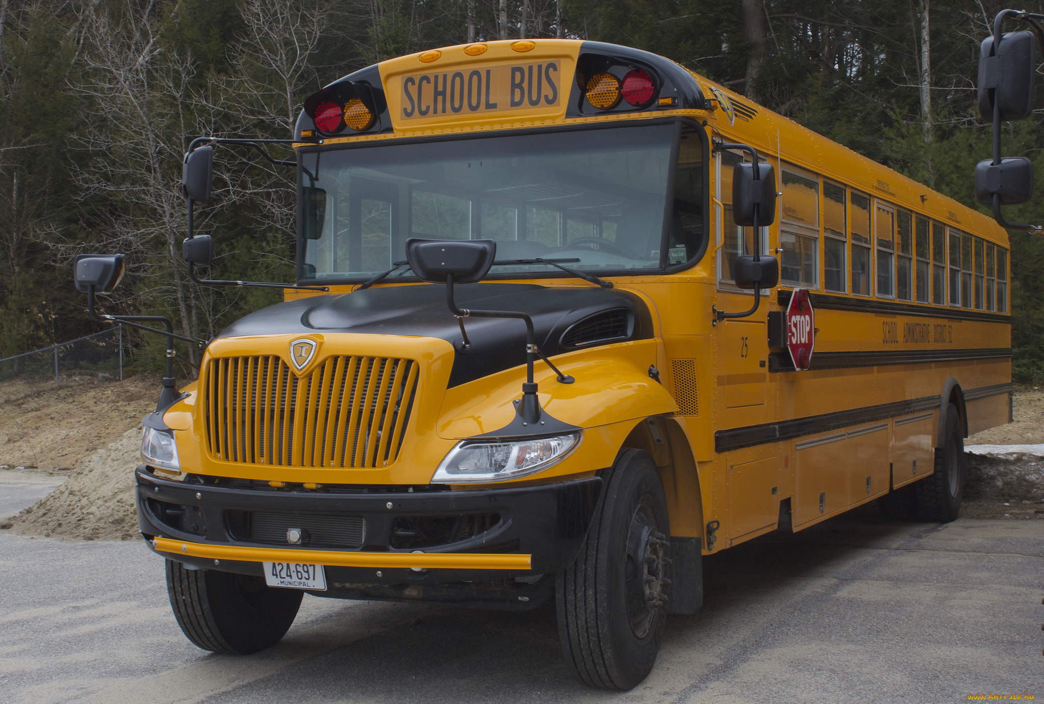 автомобили, автобусы, автобус, школьный