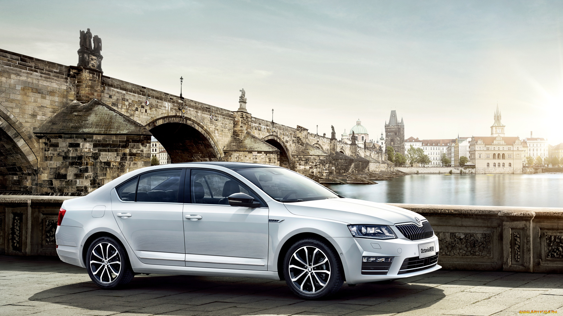 автомобили, skoda, octavia, cn-spec, 5e, 2016г