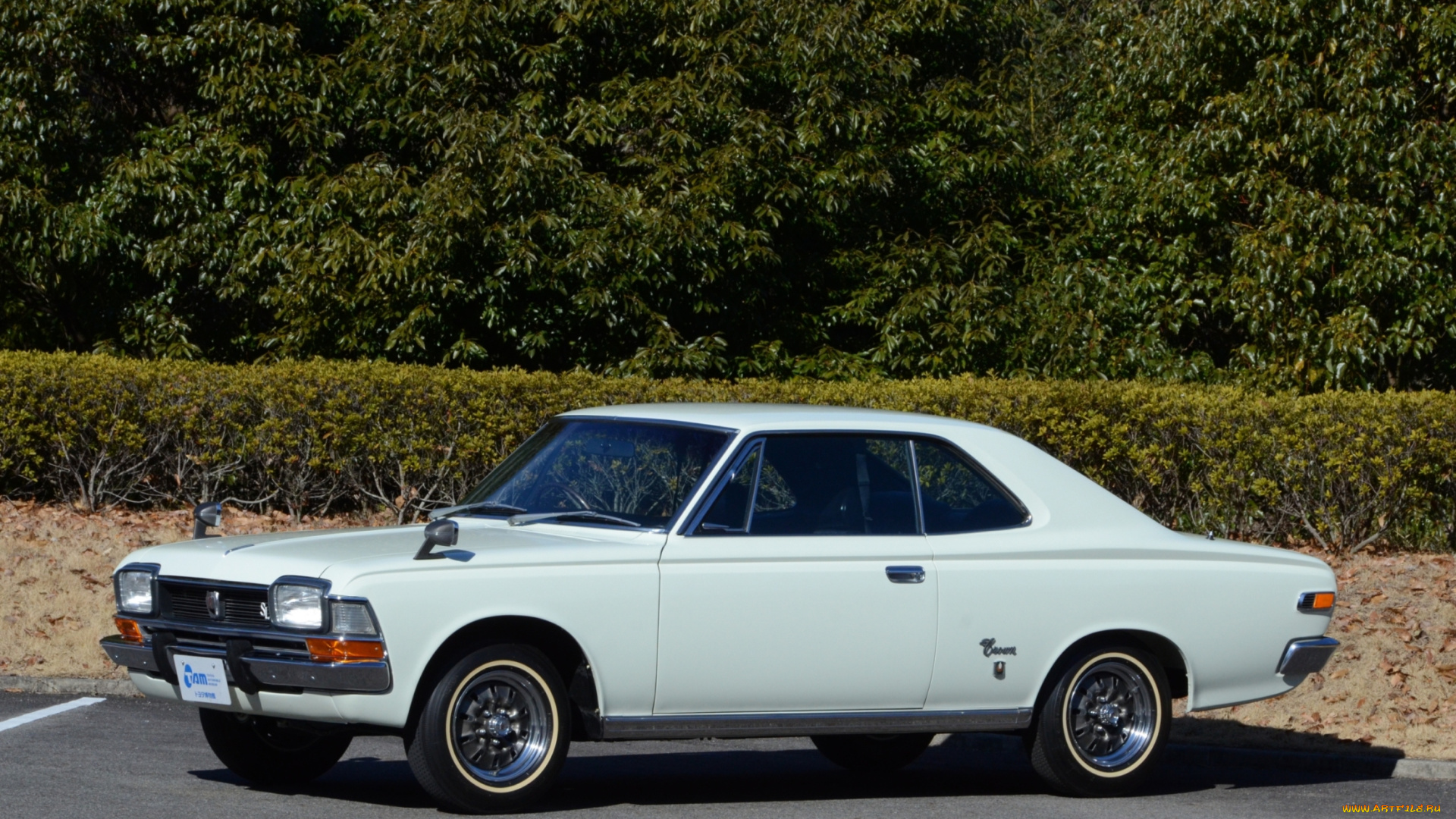 автомобили, toyota