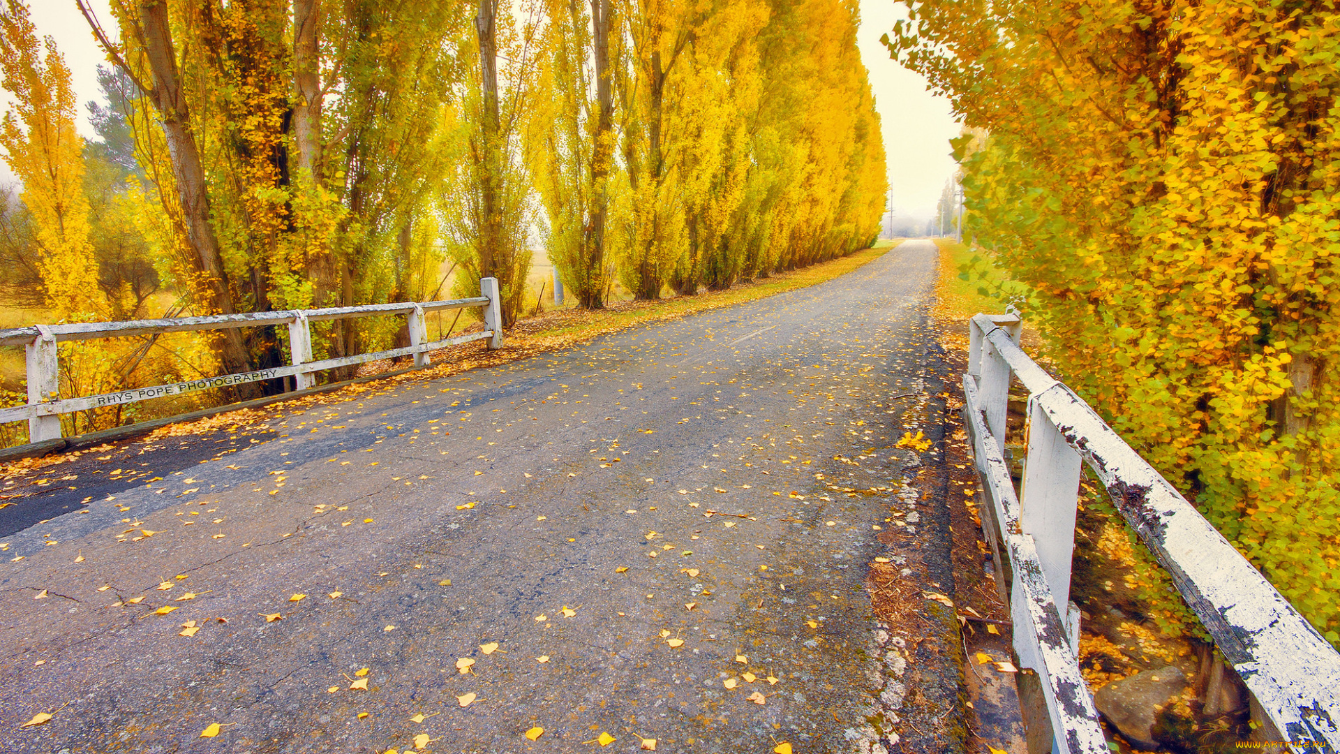 природа, дороги, дорога, деревья, осень