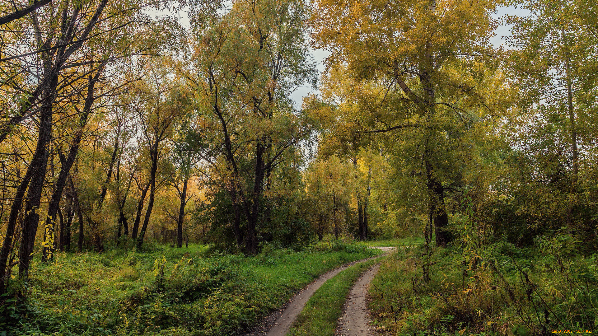 природа, дороги, тракт