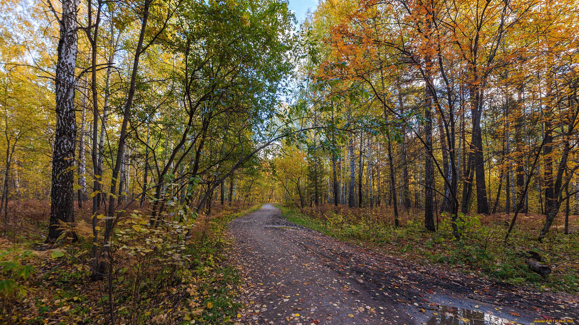 природа, дороги, тракт