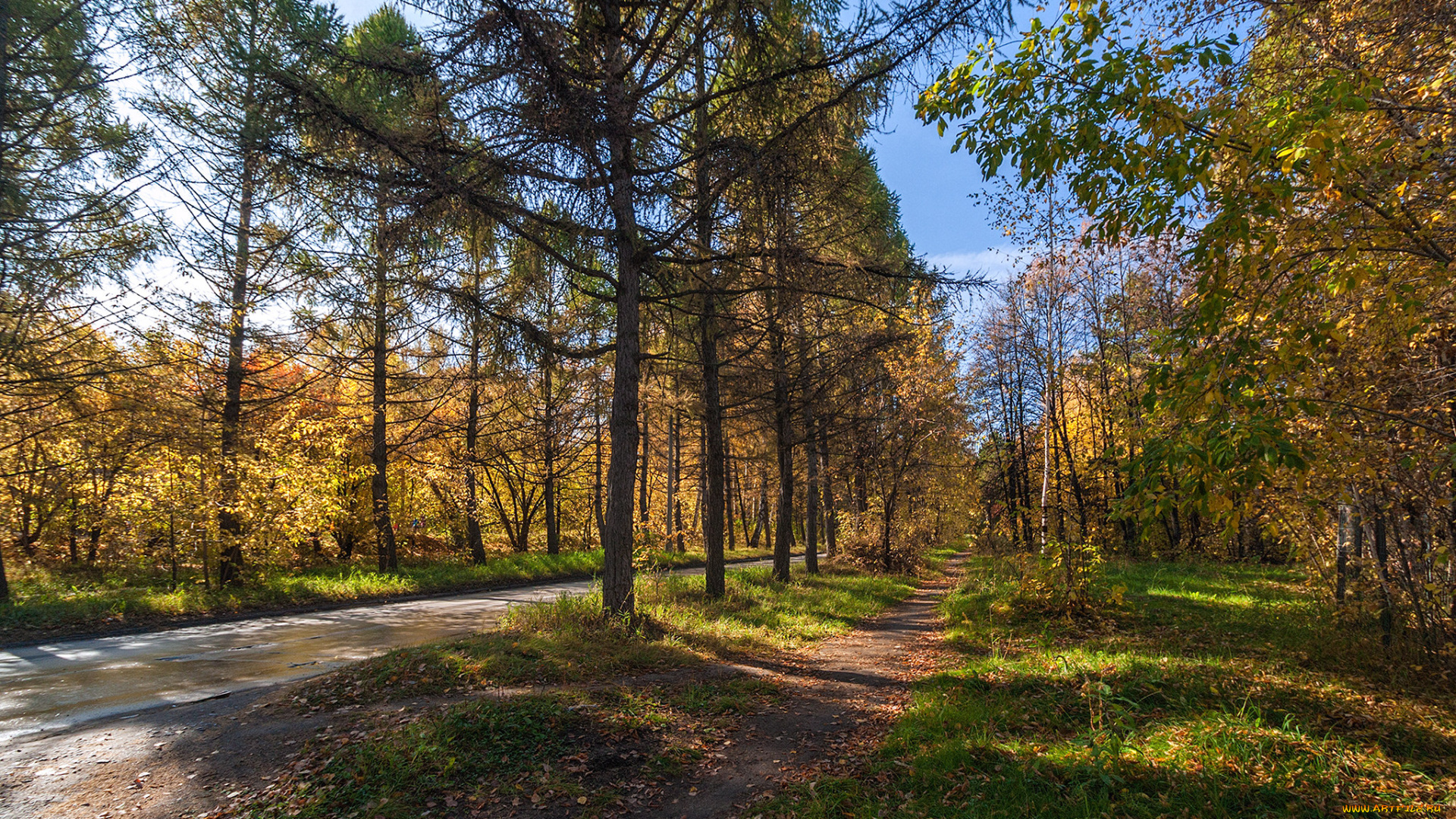 природа, дороги, тракт