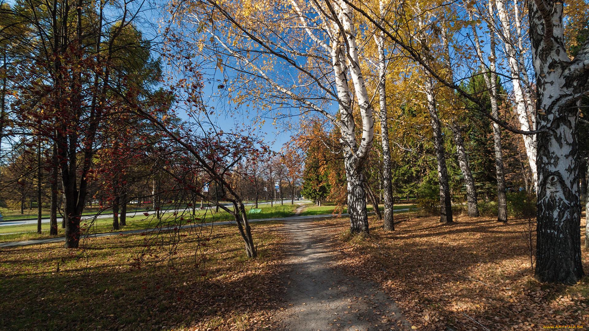 природа, дороги, тракт