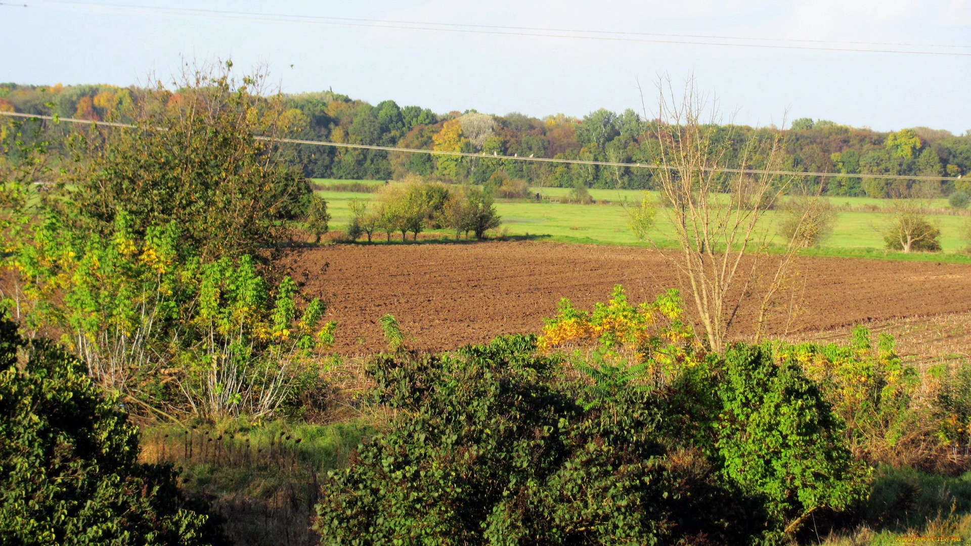 природа, поля, распаханное