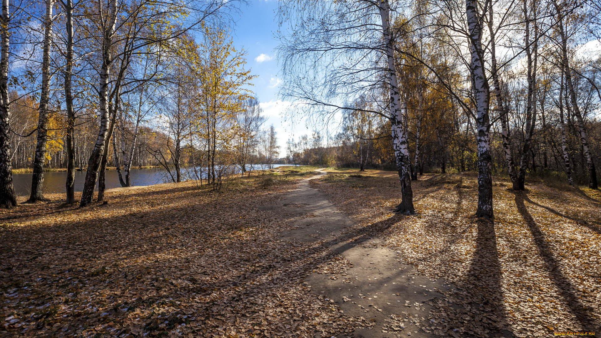 природа, реки, озера, берег, тени, пейзаж, река, деревья, осень