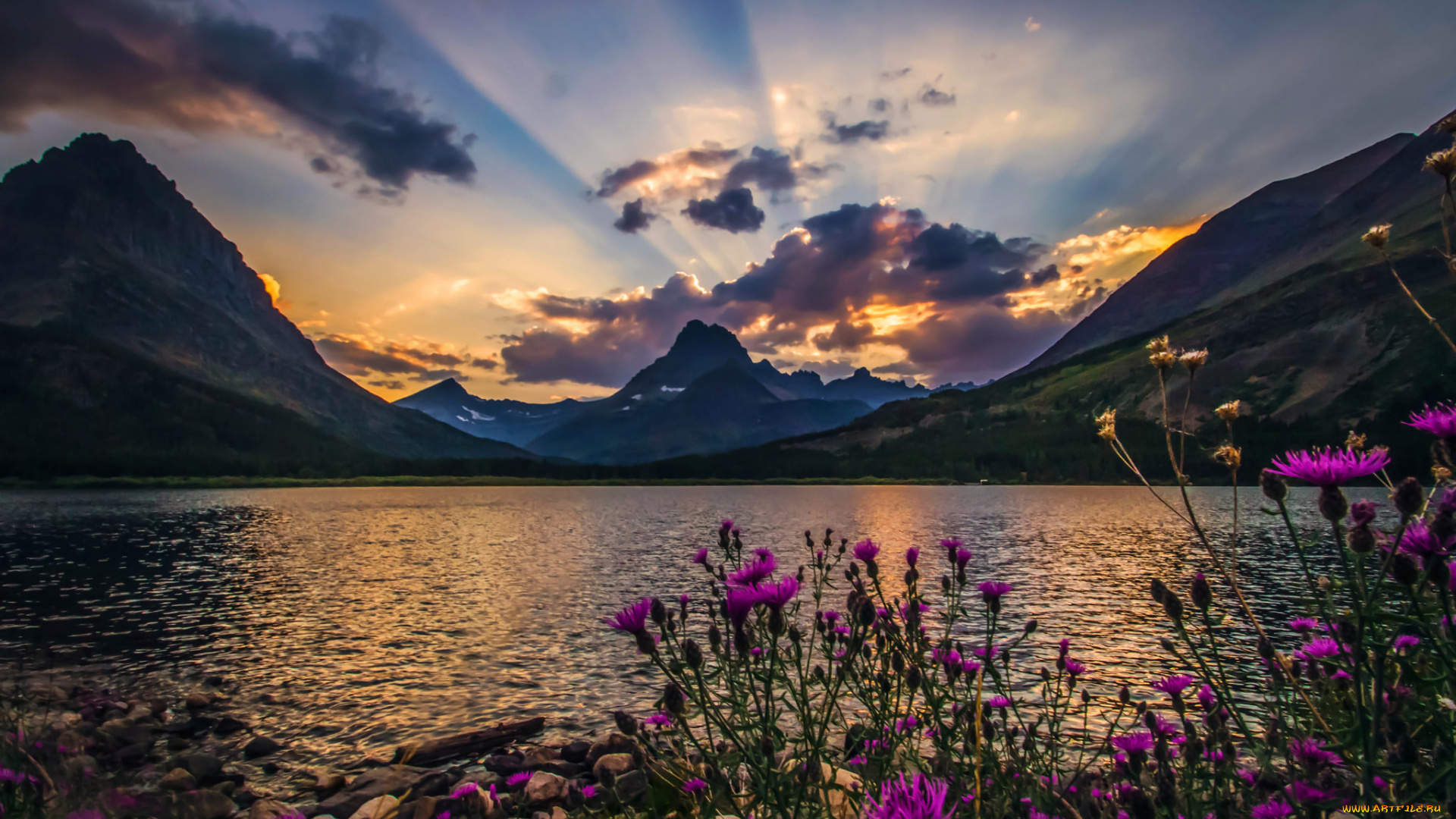 природа, реки, озера, облака, лучи, цветы