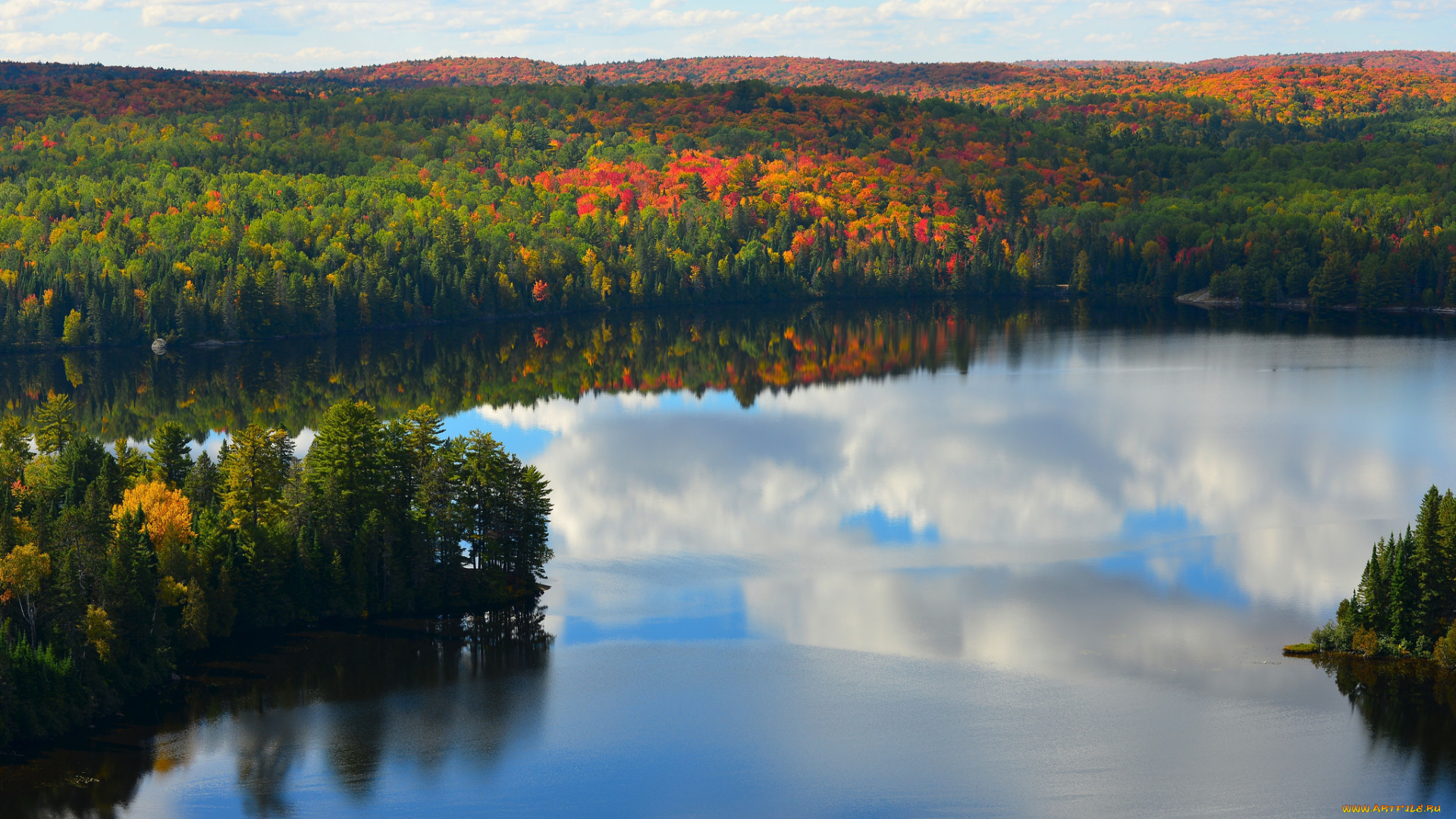 природа, реки, озера, отражение, озеро, лес