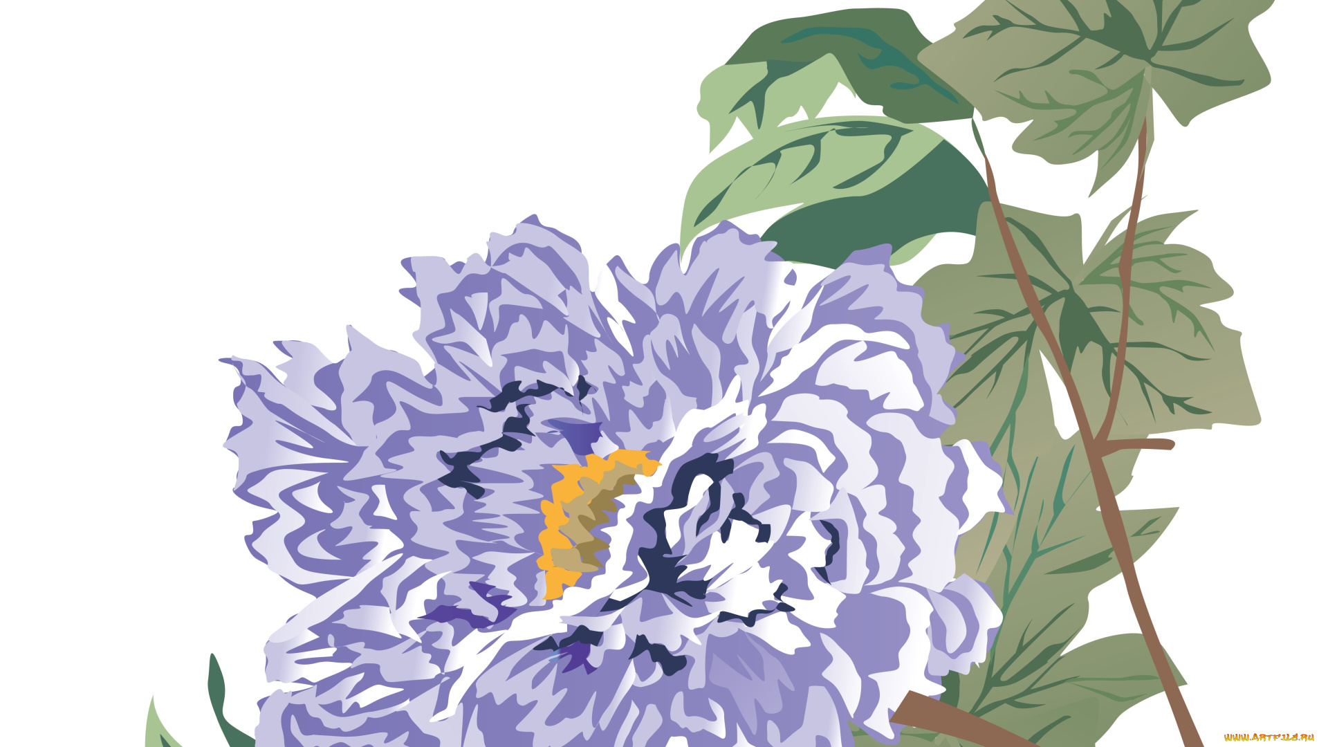 векторная, графика, цветы, , flowers, ветка, цветы, листья