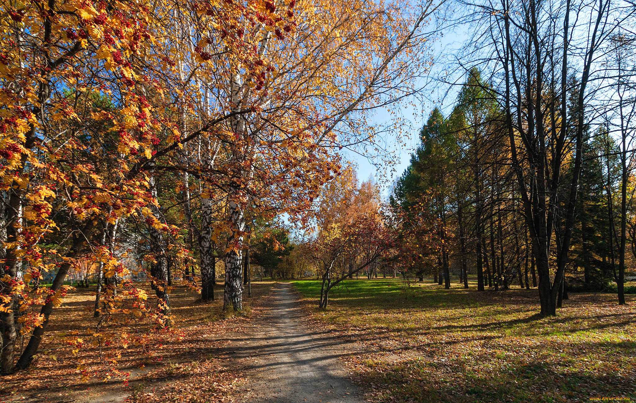 природа, дороги, тракт