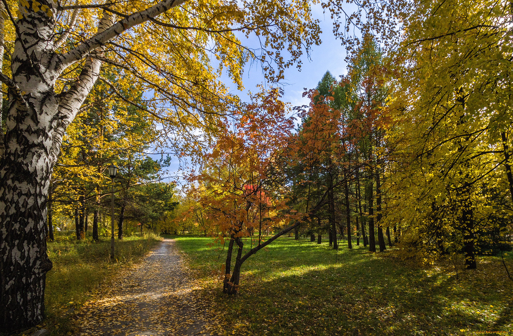 природа, дороги, тракт