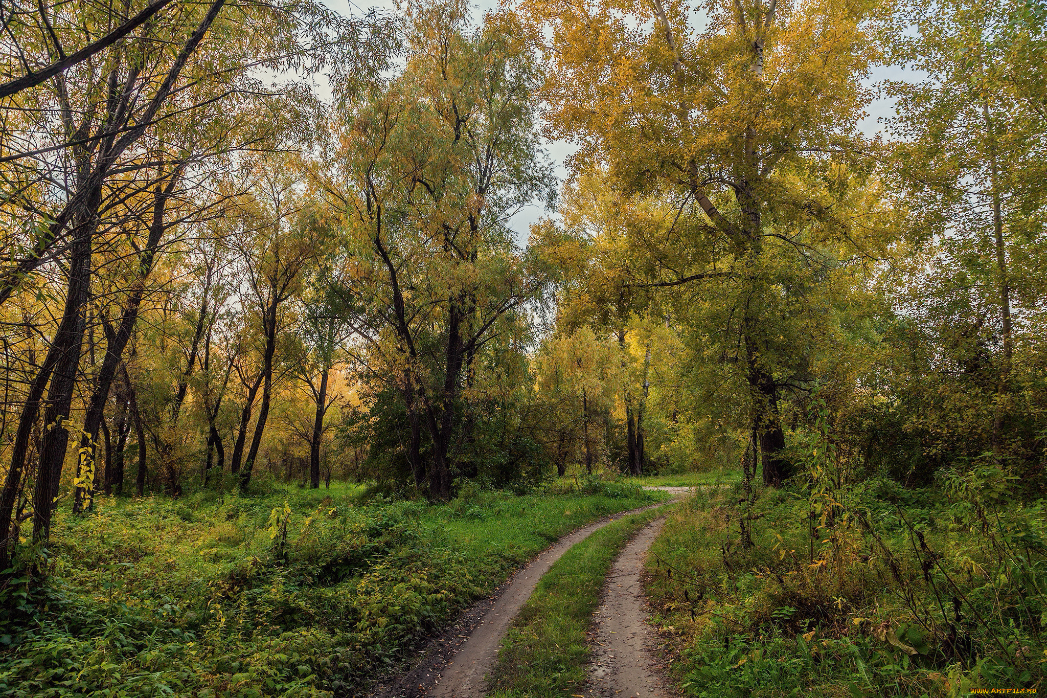 природа, дороги, тракт