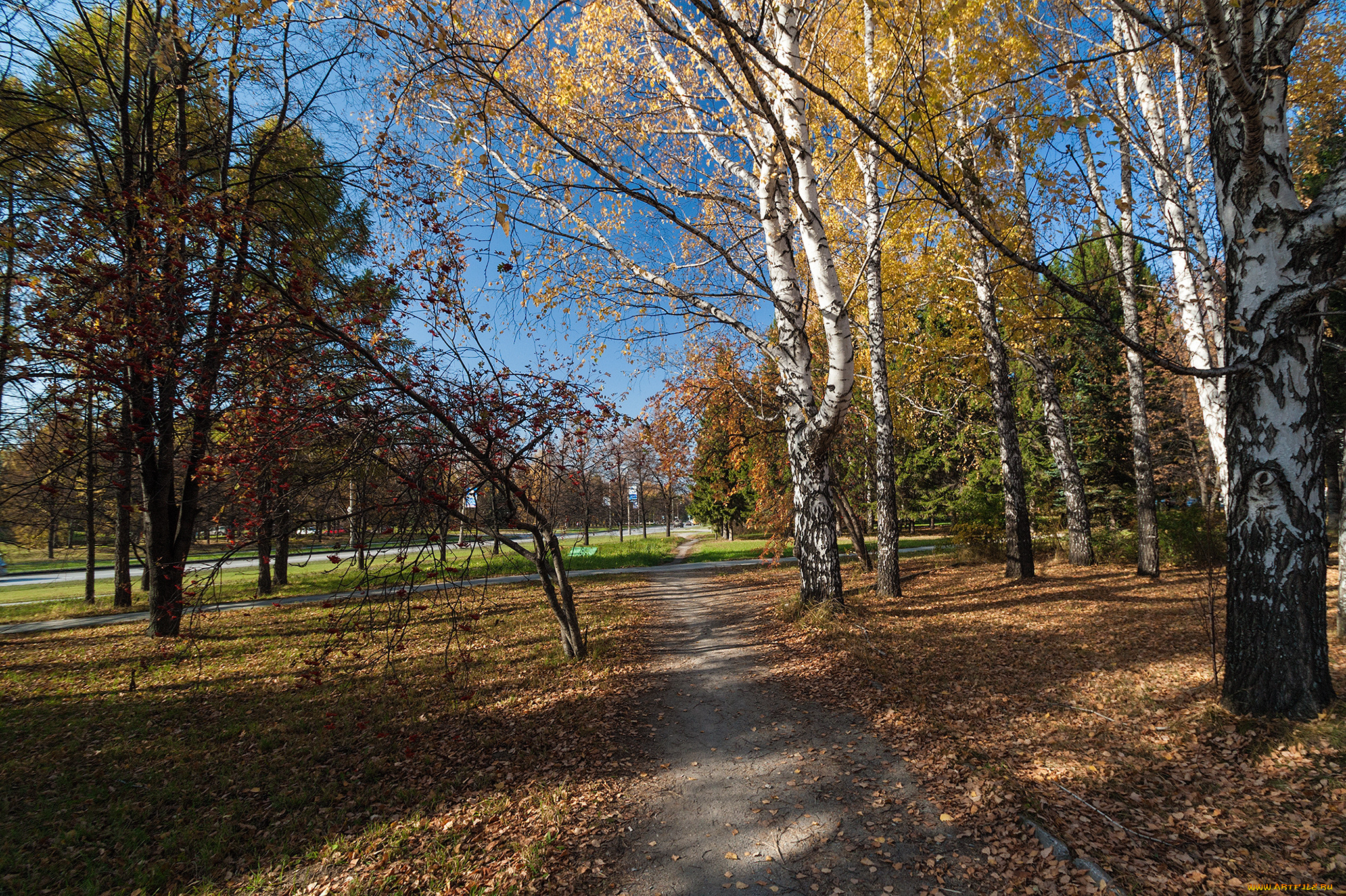 природа, дороги, тракт