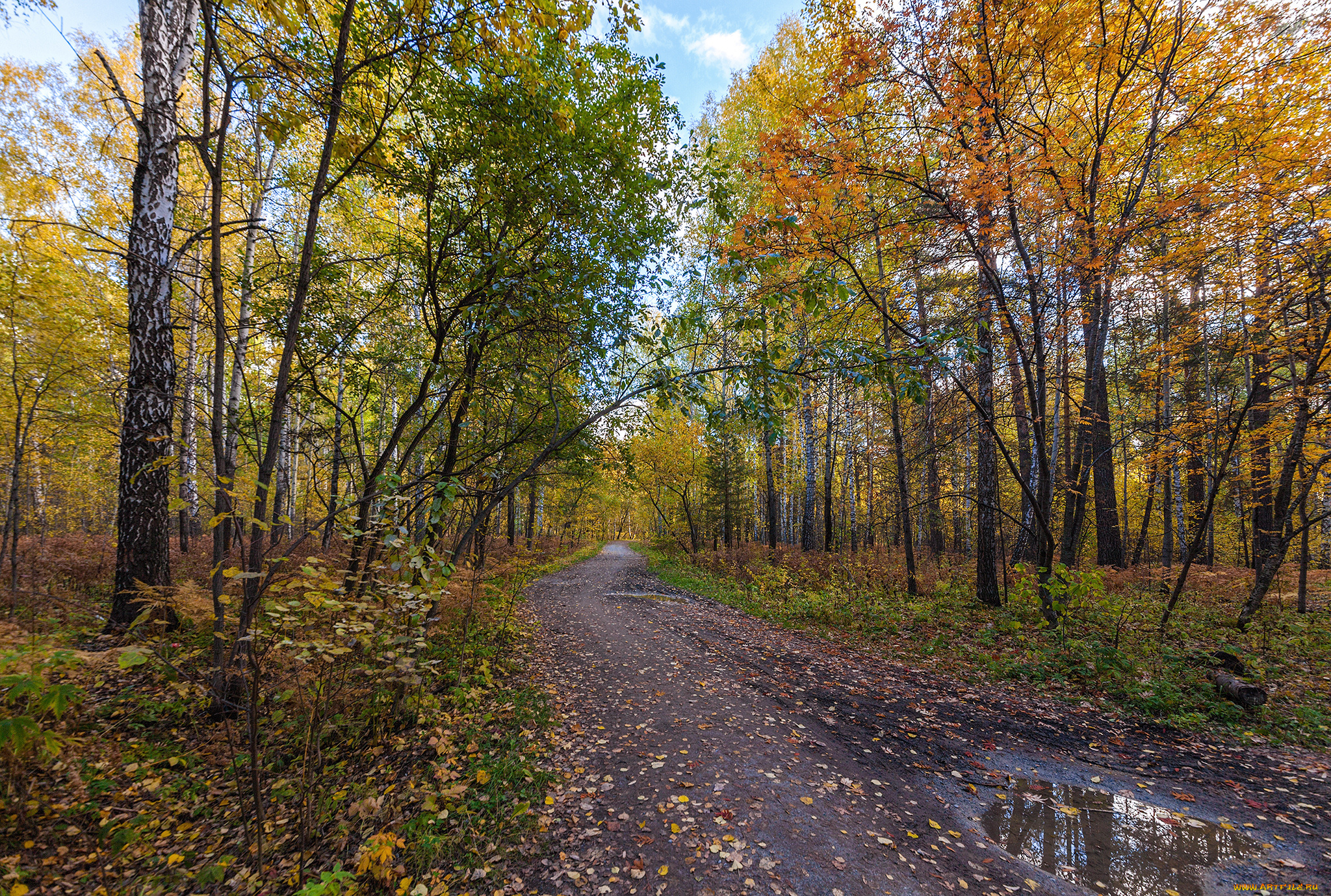 природа, дороги, тракт