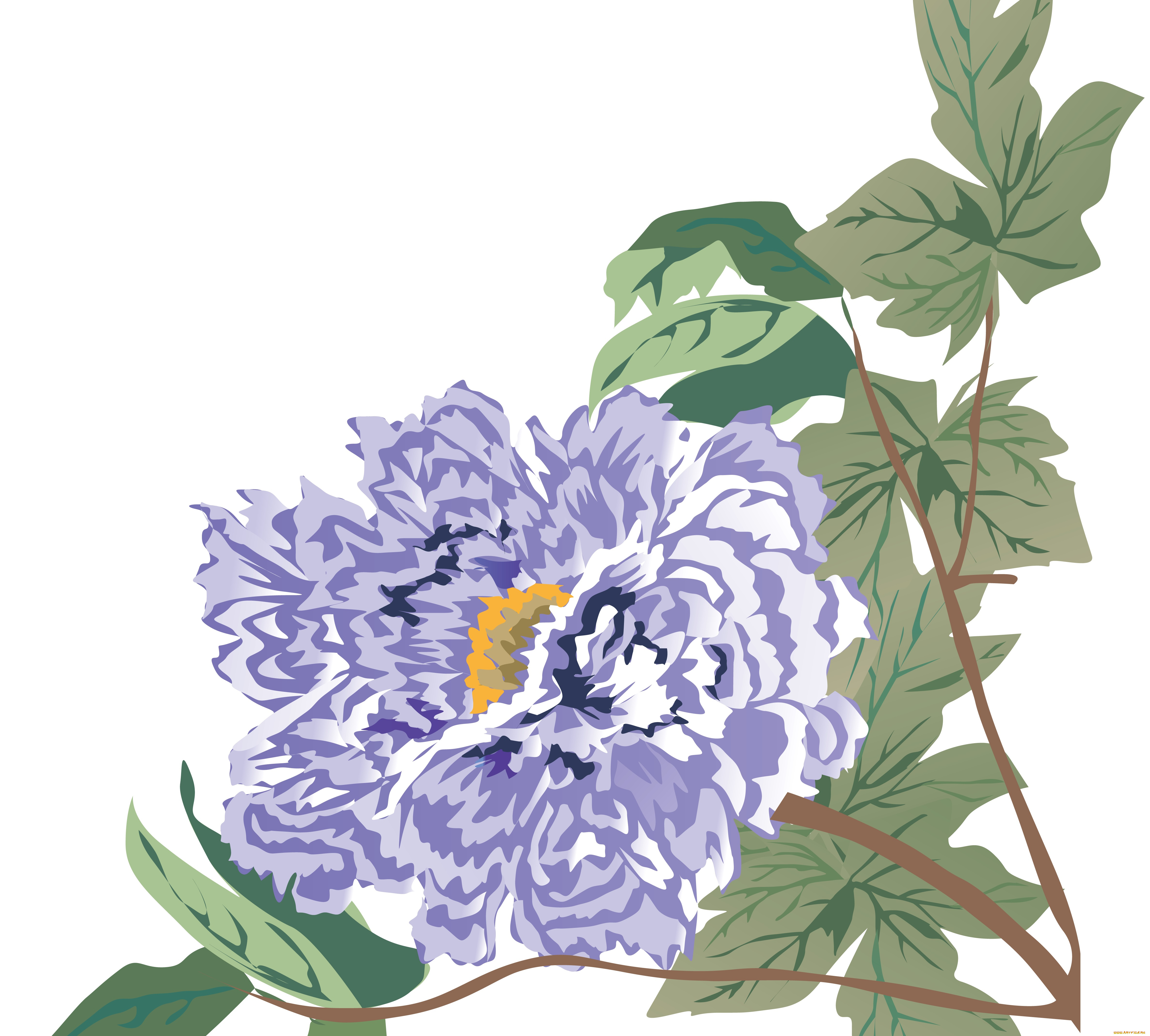 векторная, графика, цветы, , flowers, ветка, цветы, листья