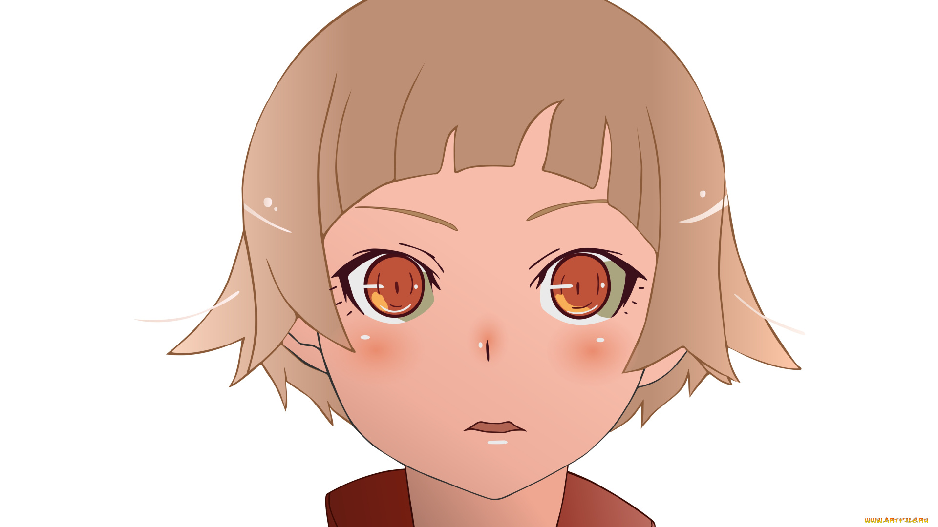 аниме, bakemonogatari, девушка, фон, взгляд