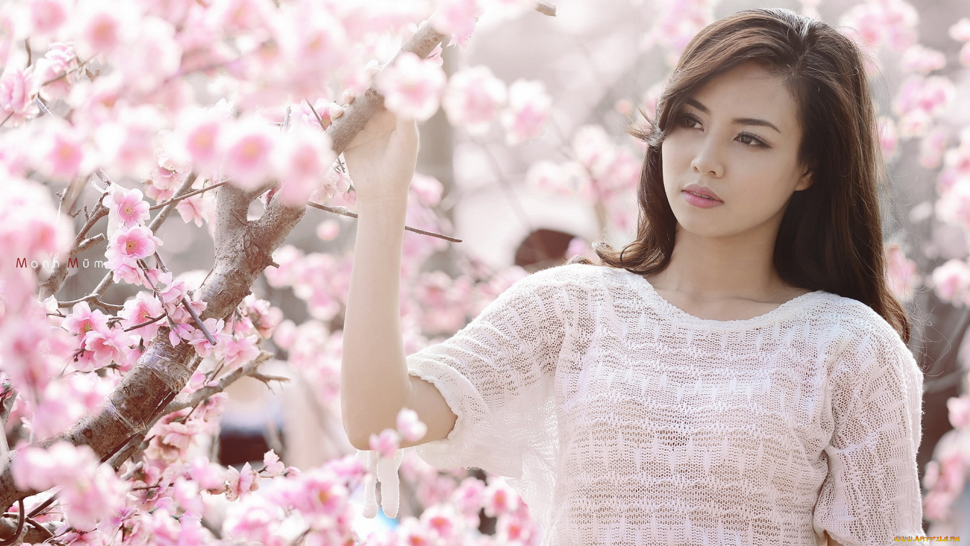 девушки, -unsort, , азиатки, цветение, сакура, весна, азиатка, девушка