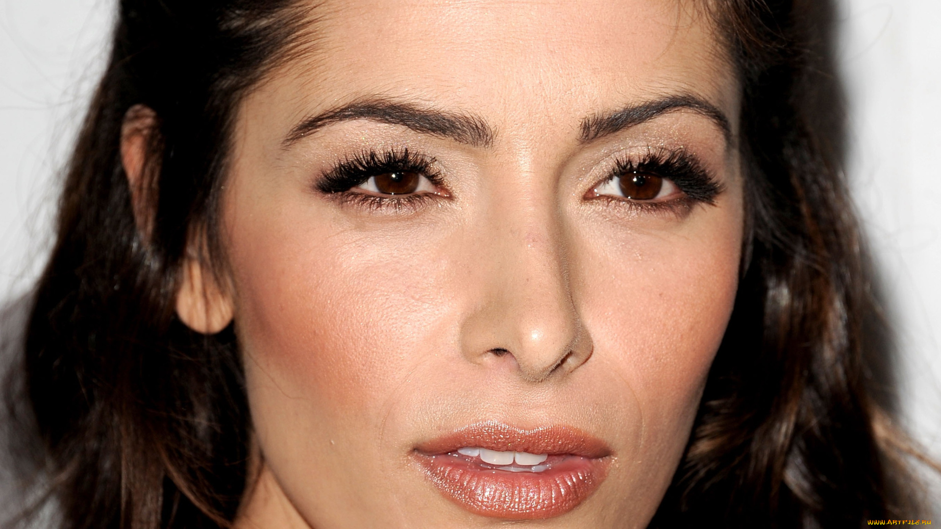 девушки, sarah, shahi, лицо, шатенка