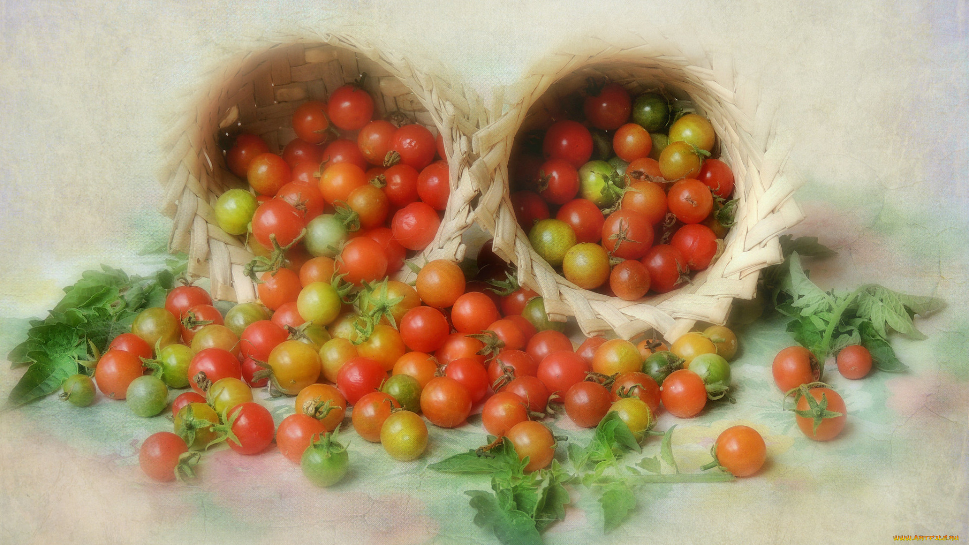 еда, помидоры, томаты