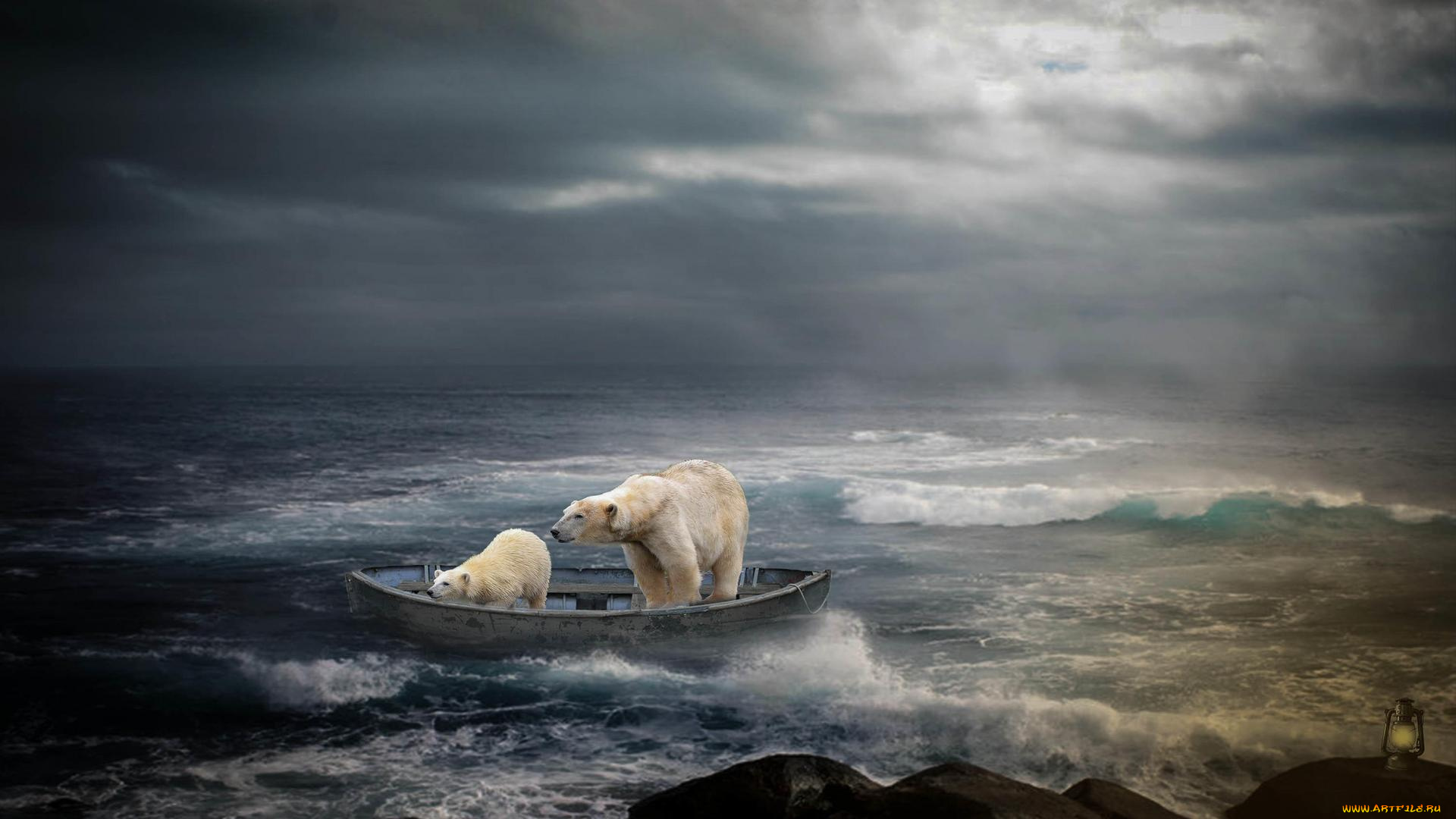 разное, компьютерный, дизайн, art, медведи, лодка, скалы, море