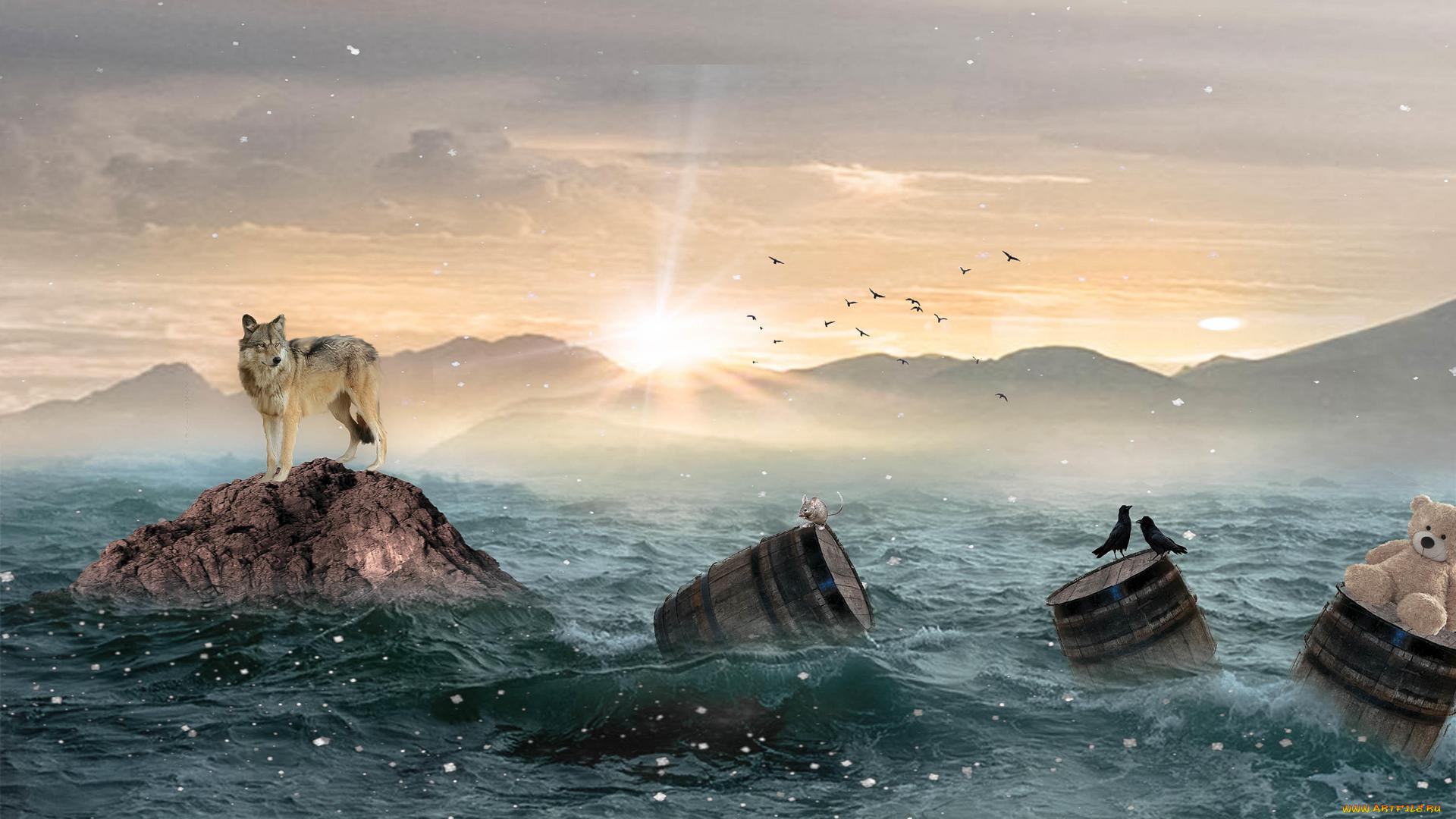 разное, компьютерный, дизайн, art, закат, море, волк, скалы