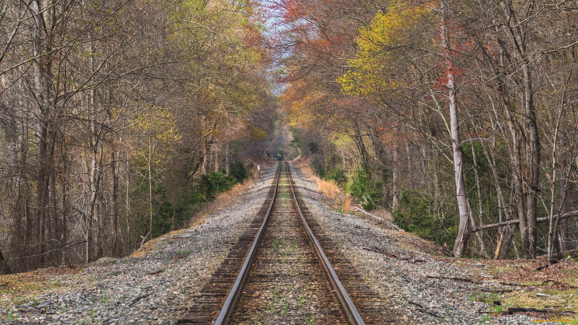разное, транспортные, средства, и, магистрали, пейзаж, осень, железная, дорога, лес, деревья