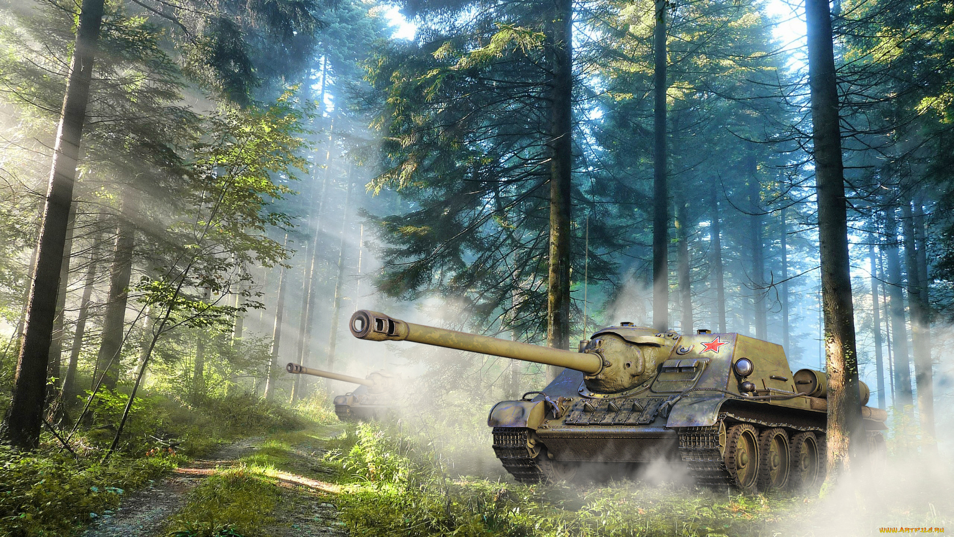 техника, 3d, сау, утро, в, еловом, лесу