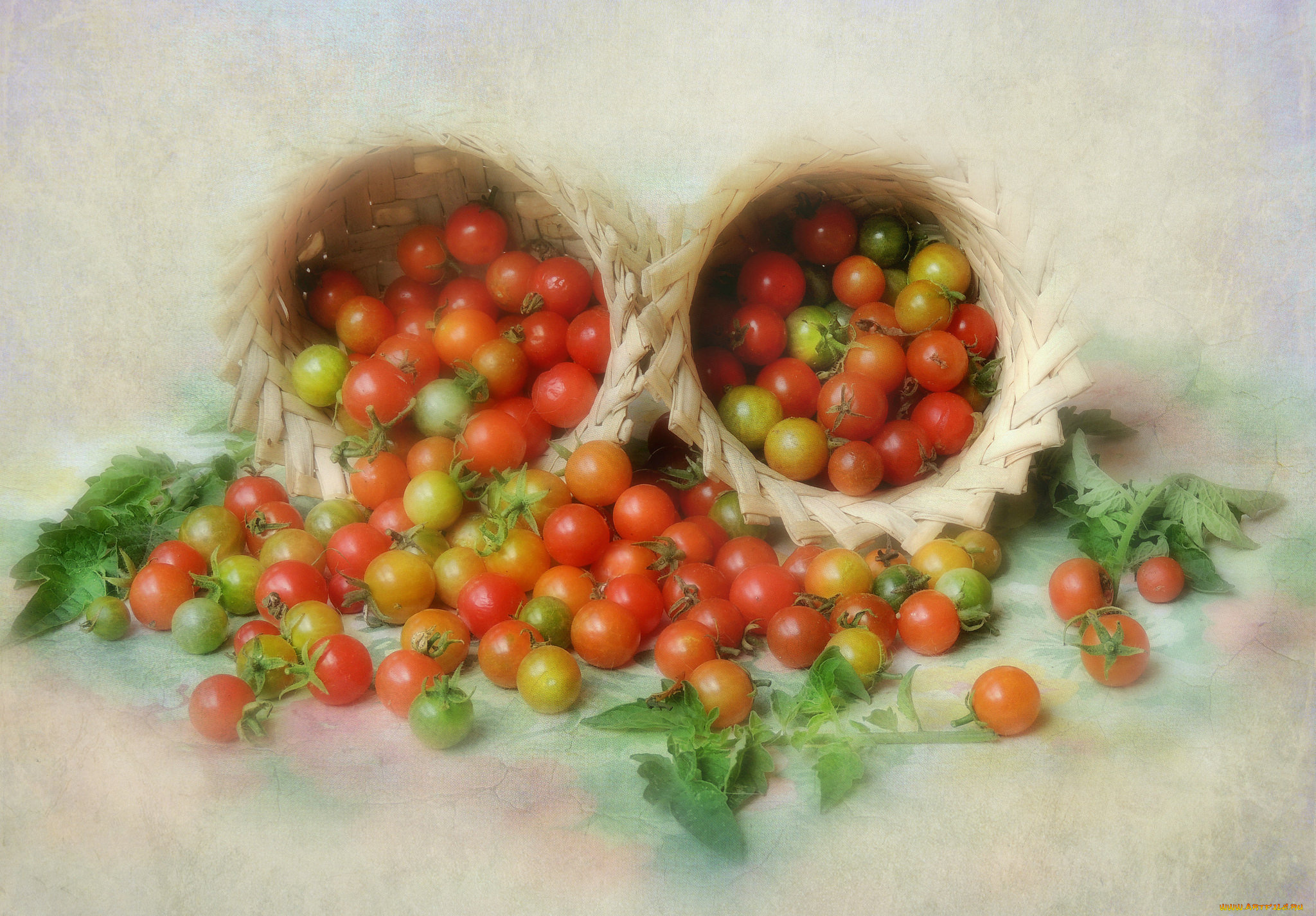 еда, помидоры, томаты