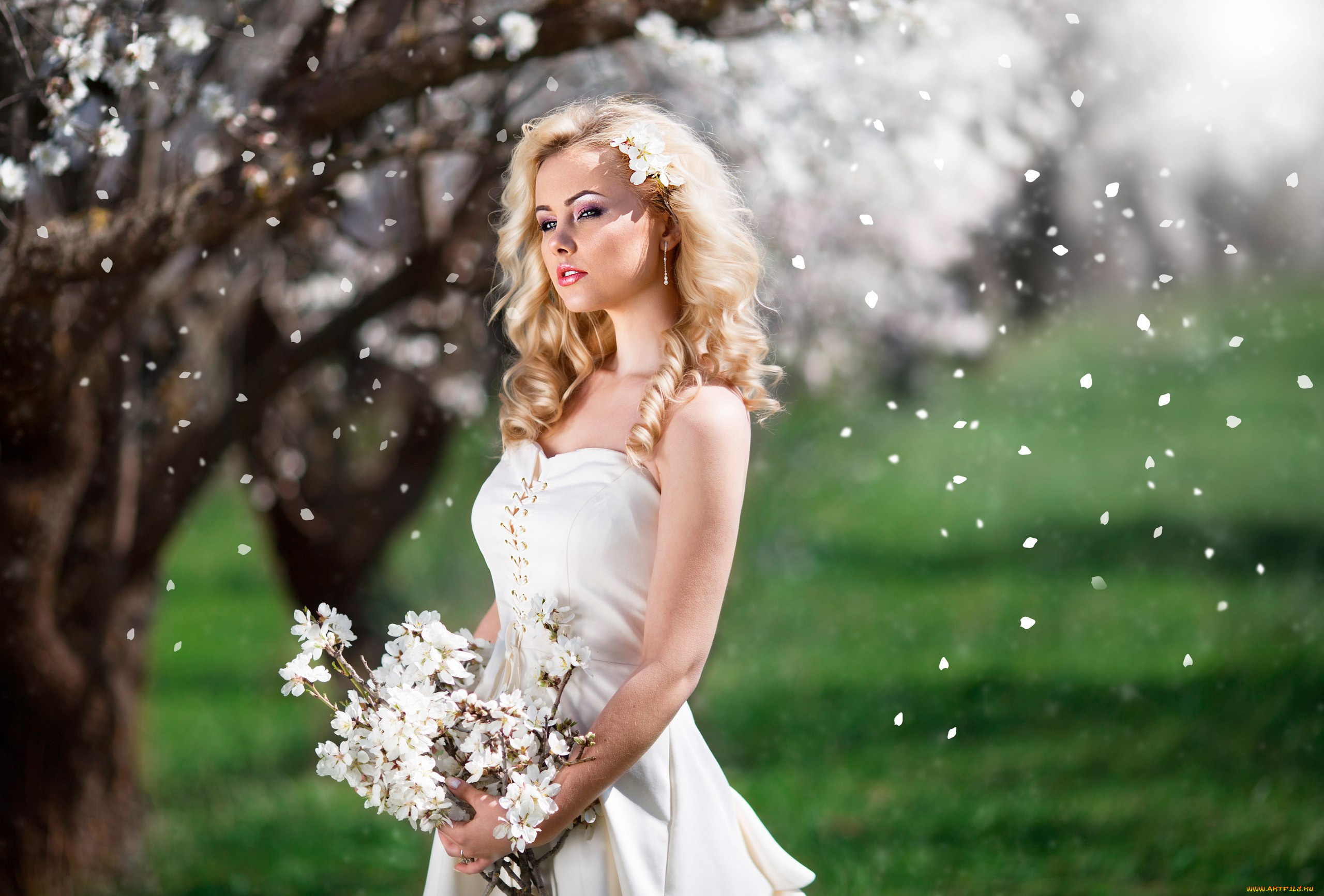 девушки, -unsort, , блондинки, причёска, лепестки, букет, цветение, девушка, весна, платье