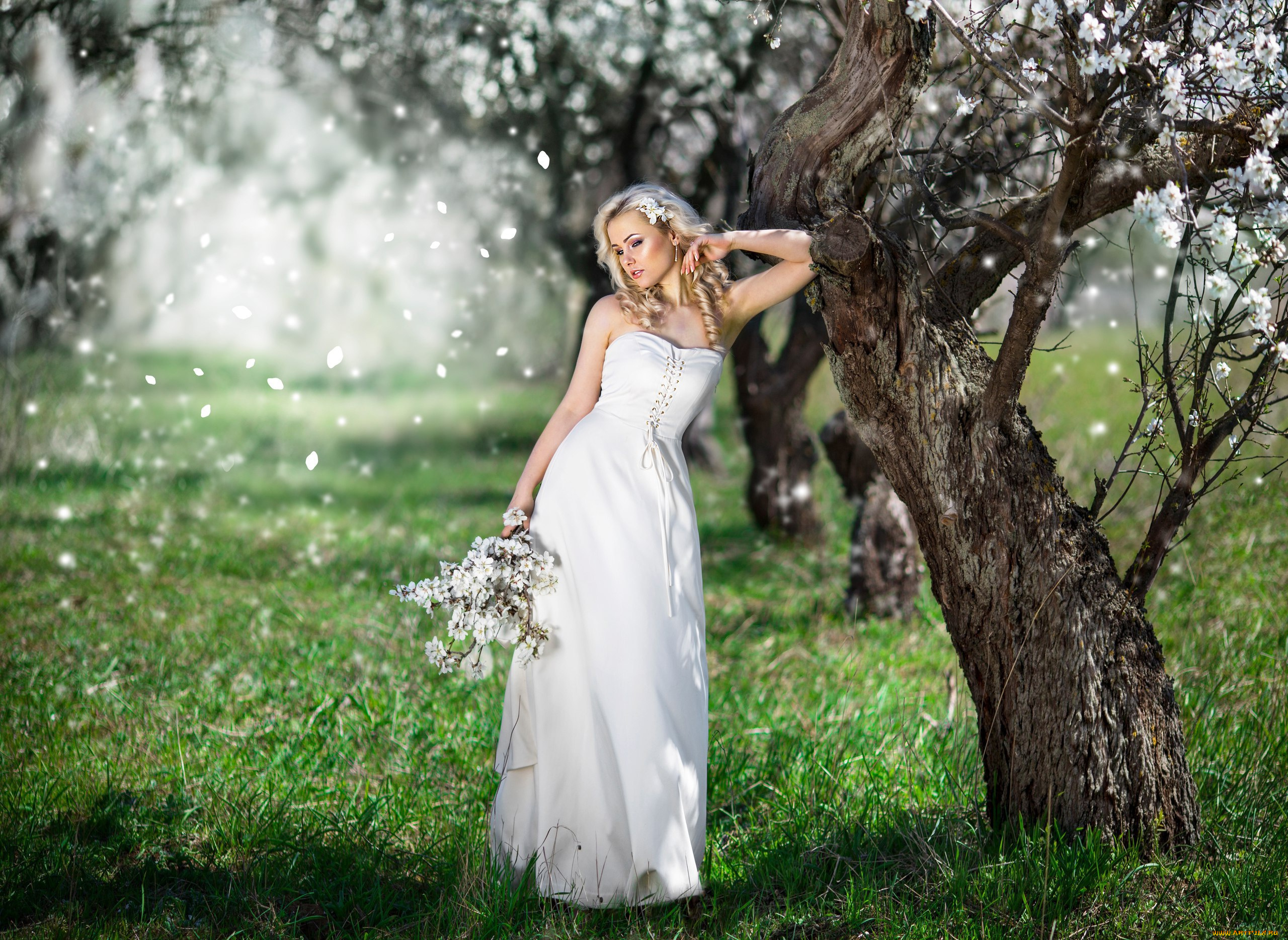 девушки, -unsort, , блондинки, букет, цветение, весна, причёска, платье, девушка