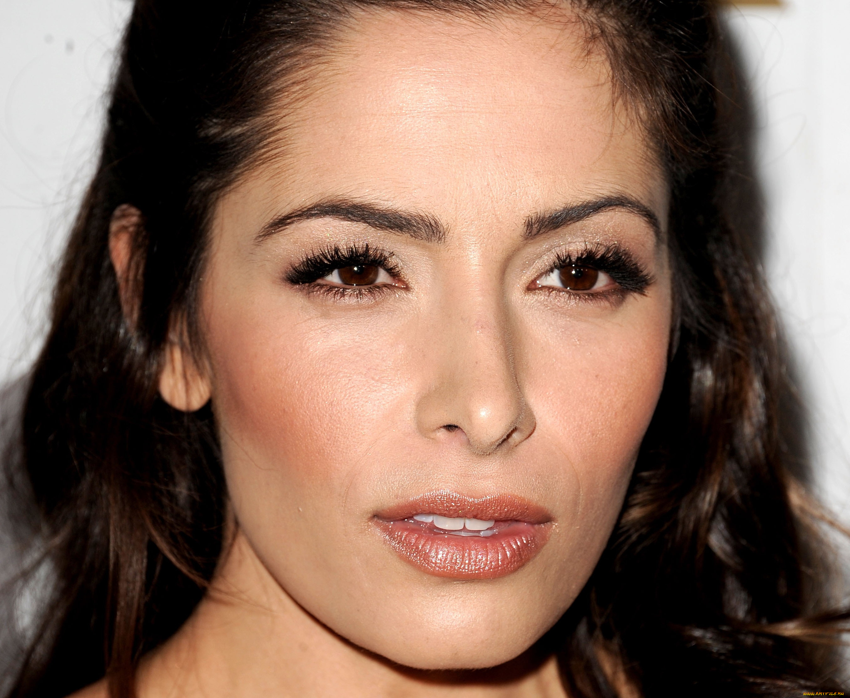 девушки, sarah, shahi, лицо, шатенка