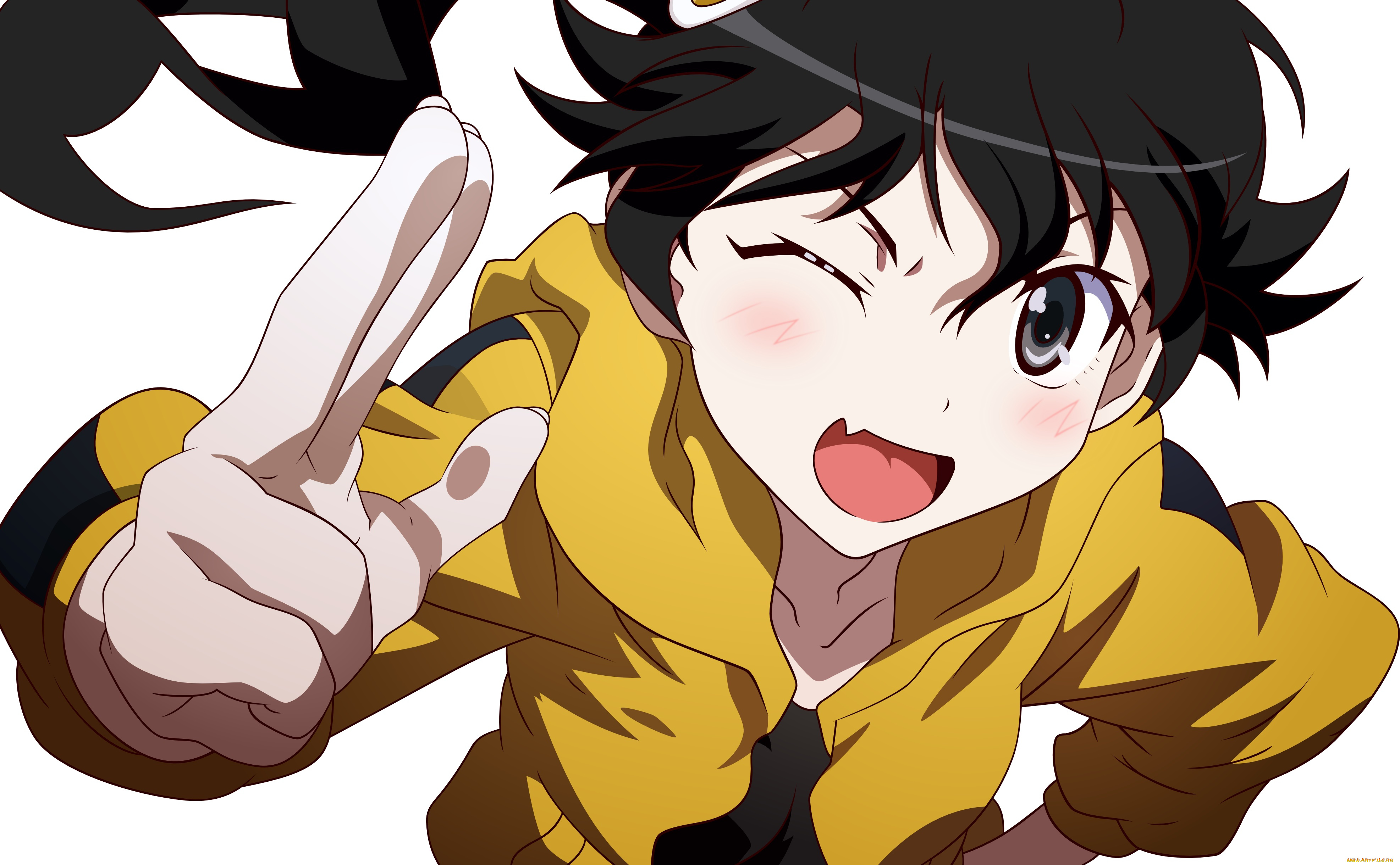 аниме, bakemonogatari, персонаж