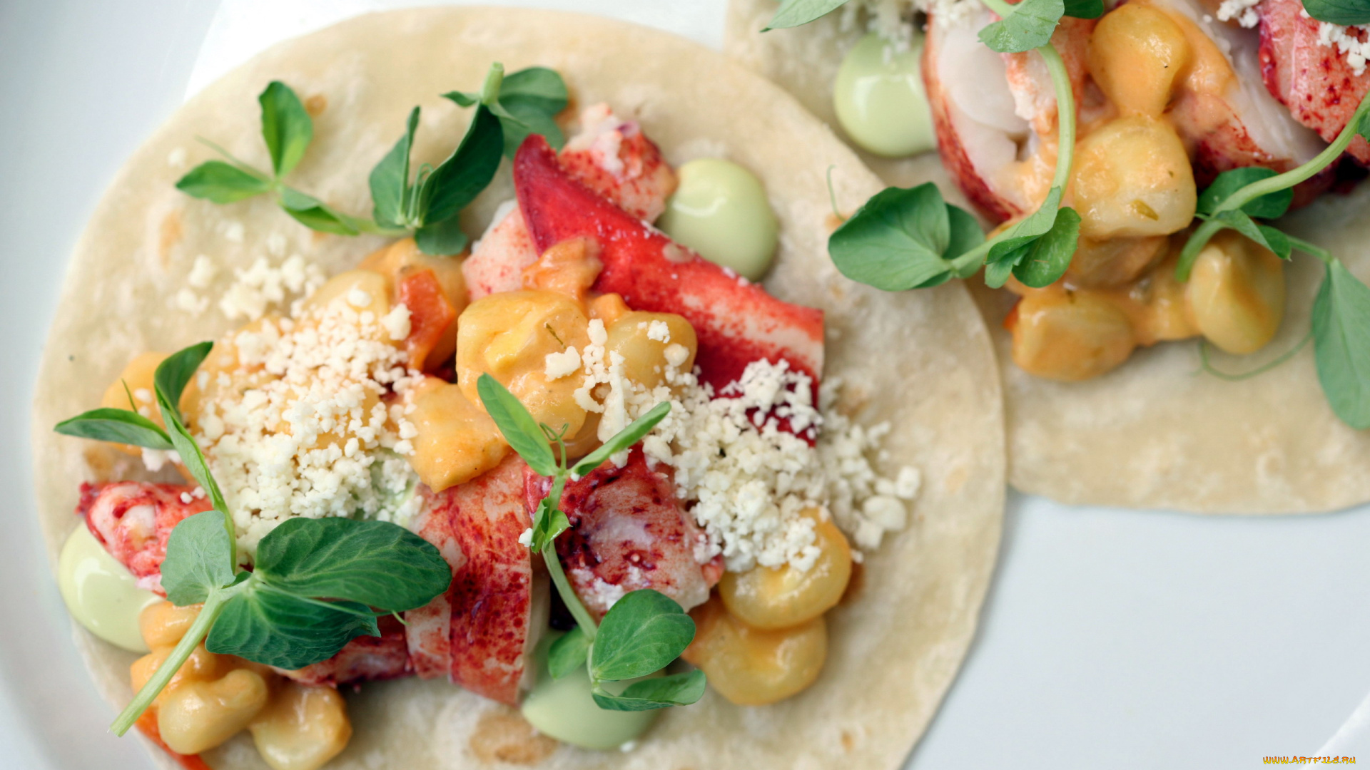 еда, рыбные, блюда, , с, морепродуктами, лобстер