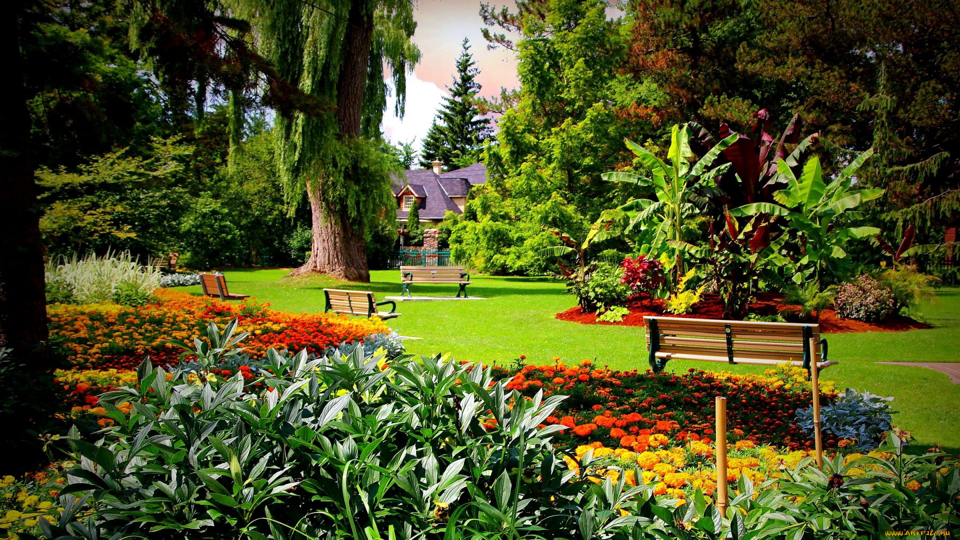 природа, парк, лужайка, клумбы, деревья, скамейки