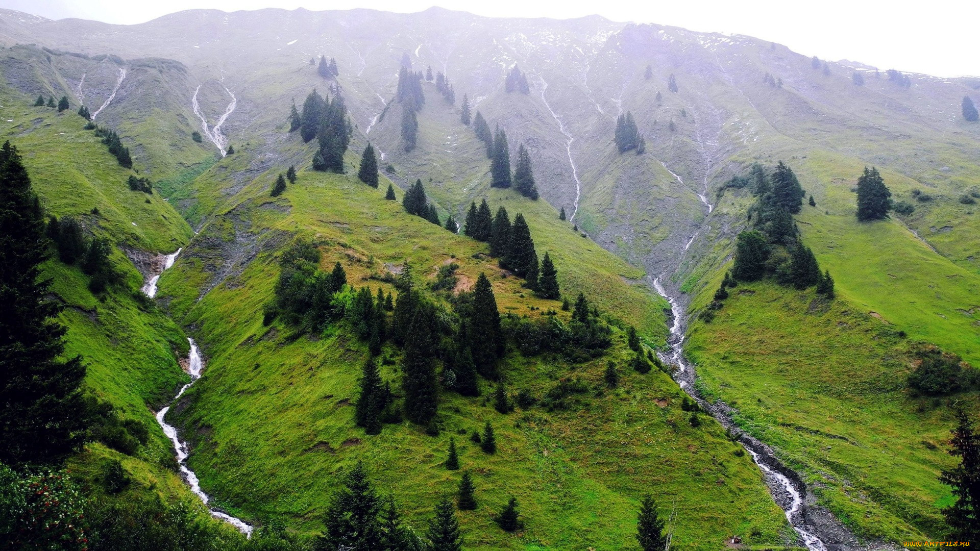 природа, пейзажи, горы, деревья, реки