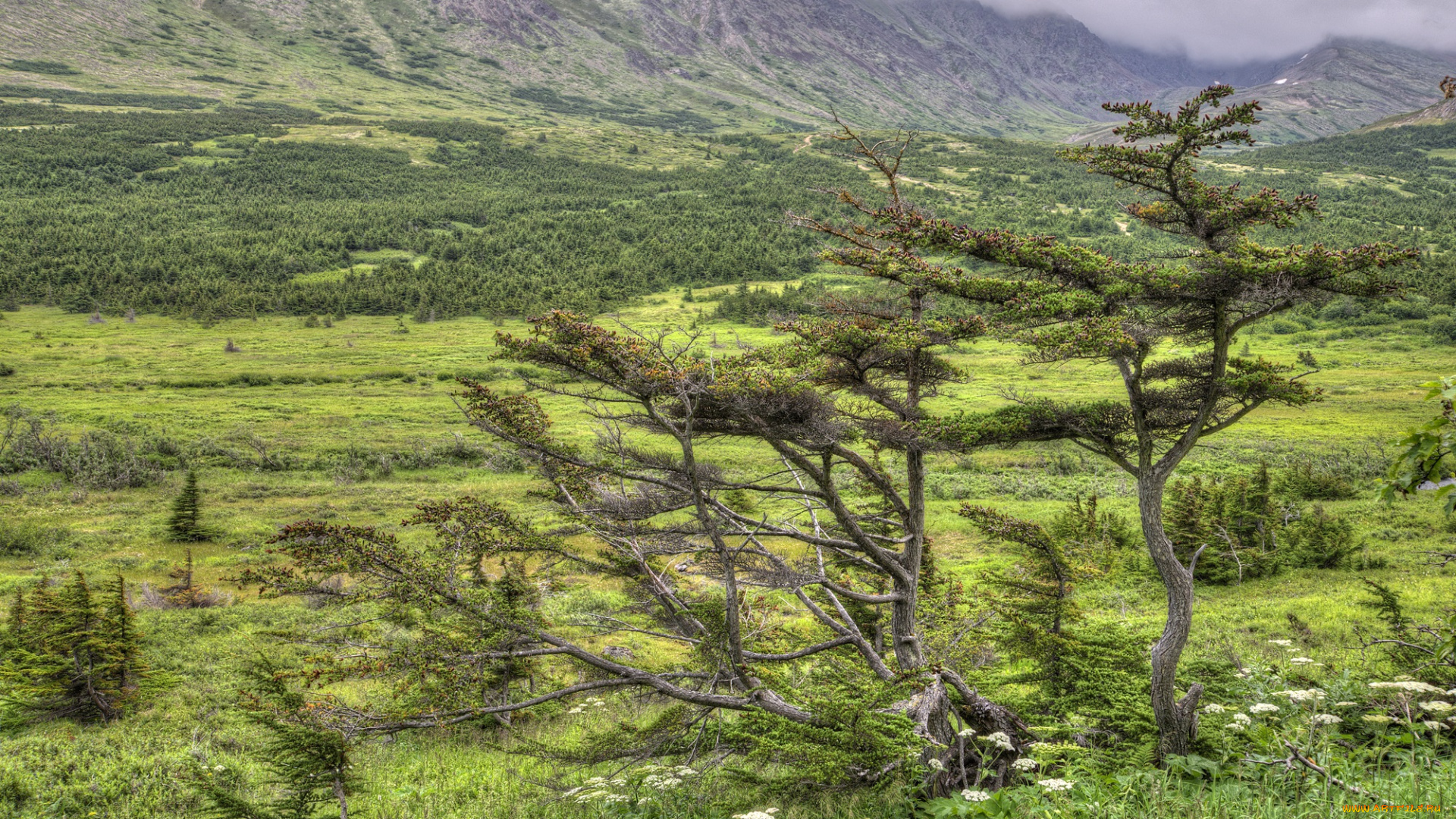 природа, пейзажи, простор