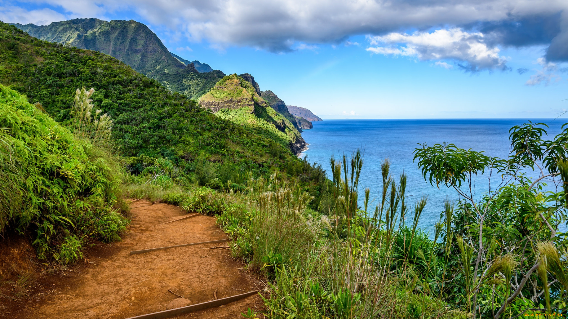 природа, побережье, простор