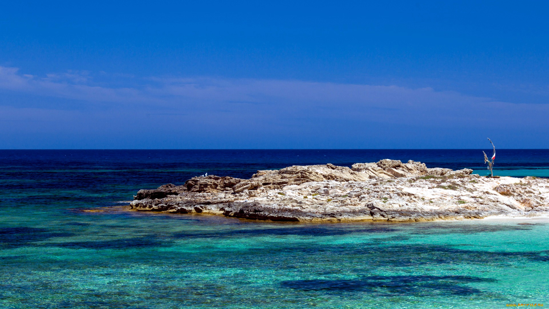 природа, побережье, скалы, море